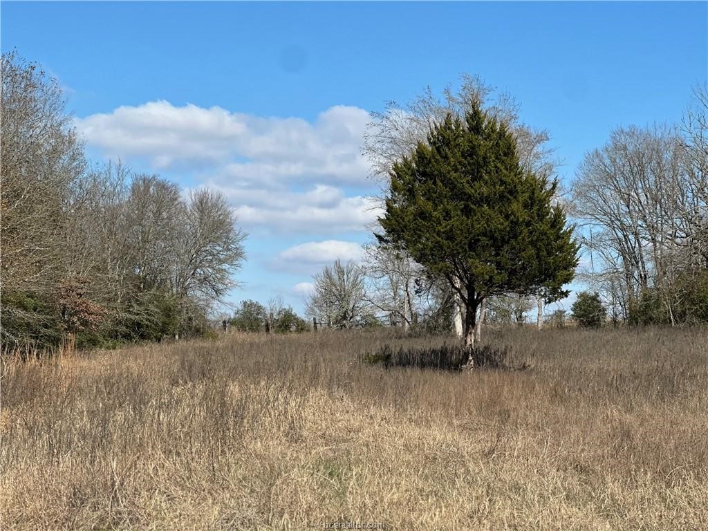 10986 Fm 391 Property Photo 15