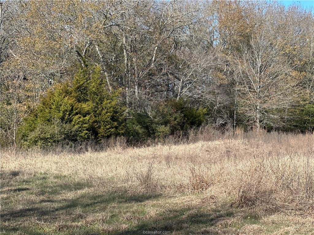 10986 Fm 391 Property Photo 16