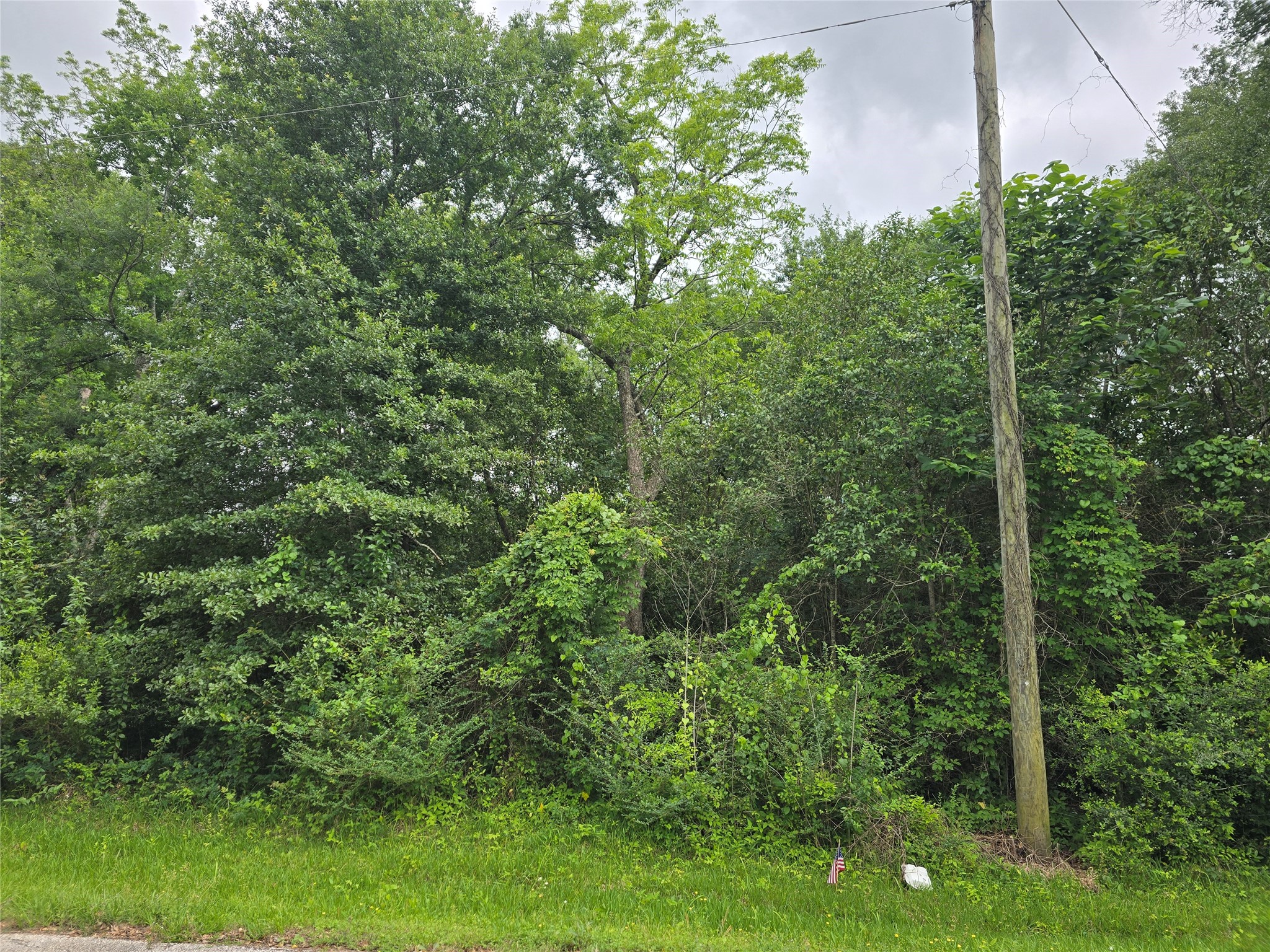 407 S 6th St, Property Photo 5