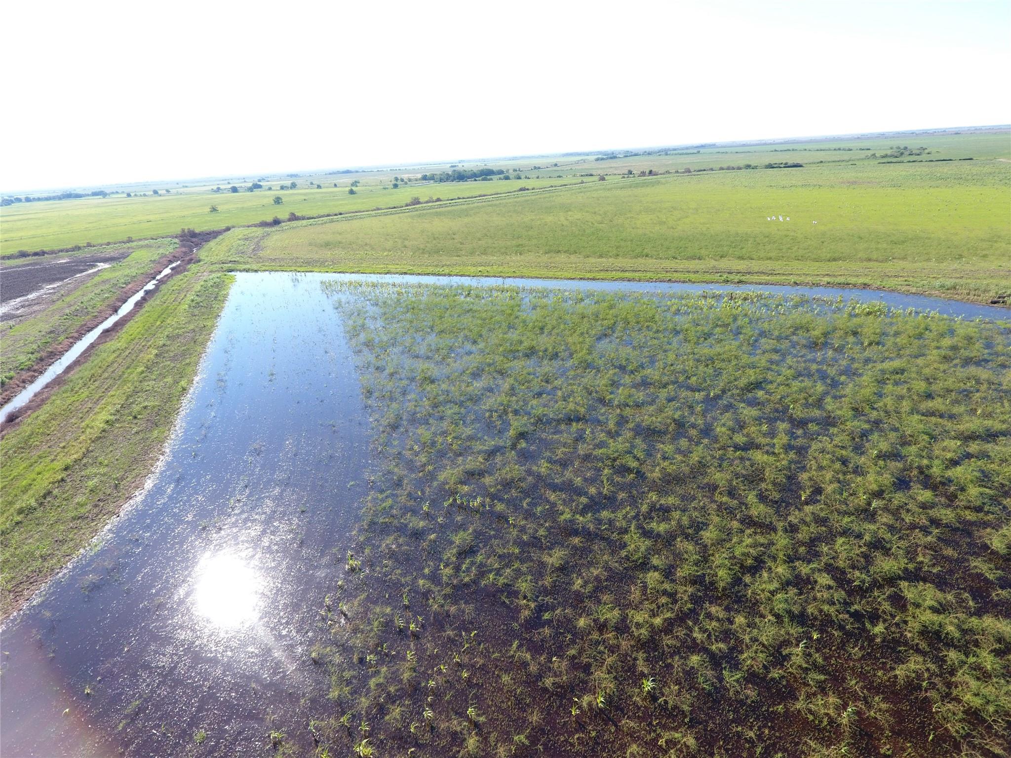 768 Million Dollar Road Property Photo 2