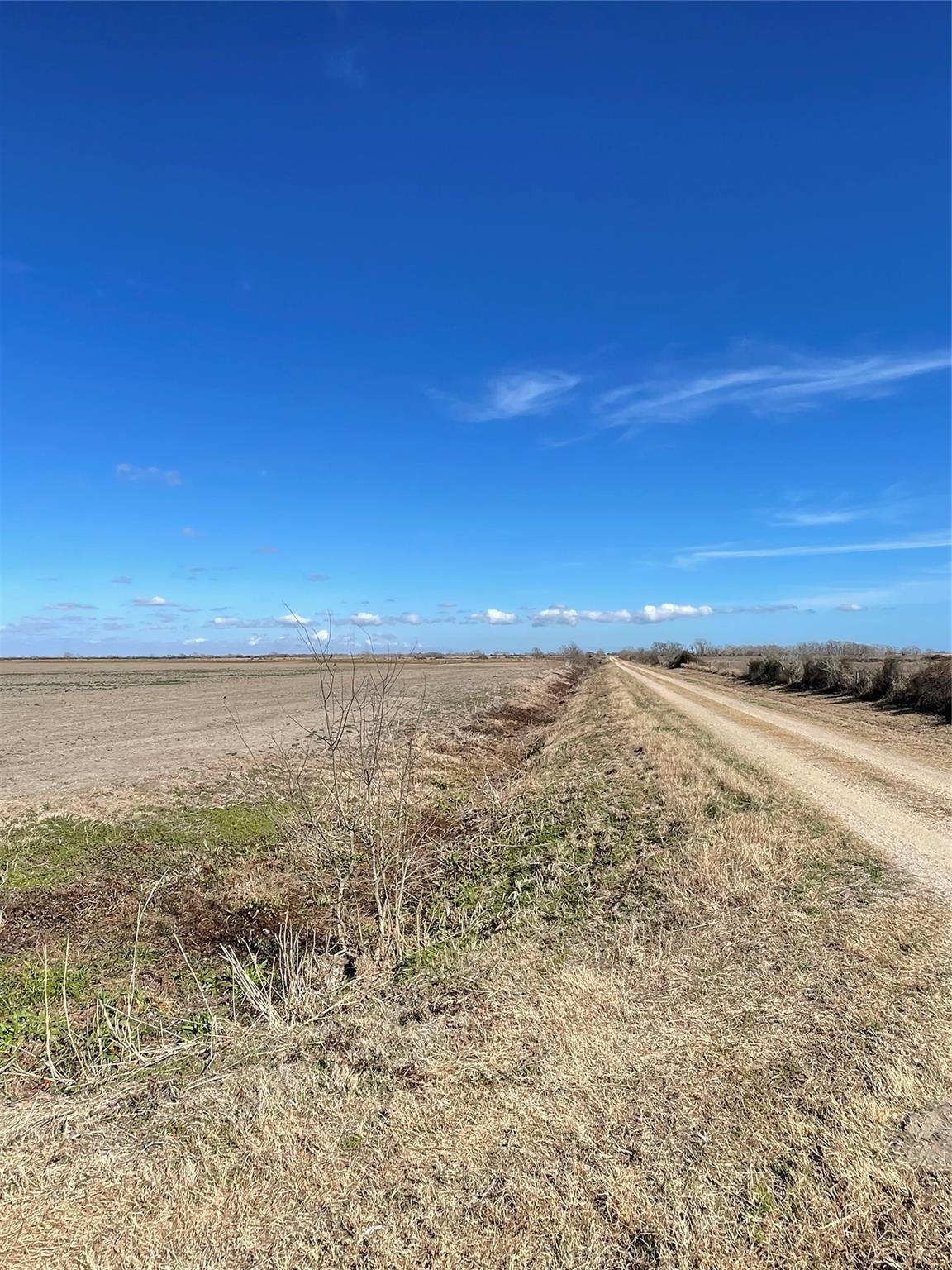 768 Million Dollar Road Property Photo 29