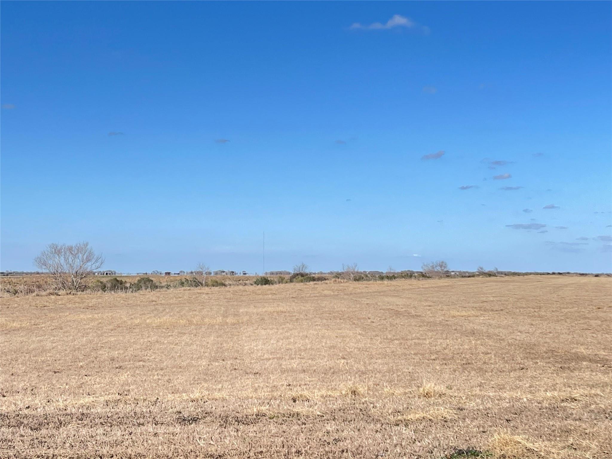 768 Million Dollar Road Property Photo 49