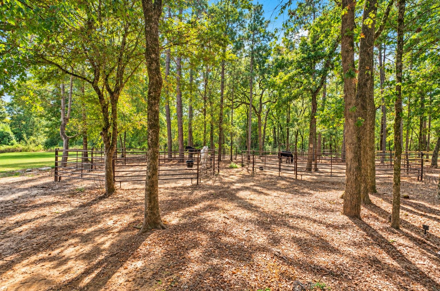 37753 Marias Way, Magnolia Tx 77354 Property Photo 47