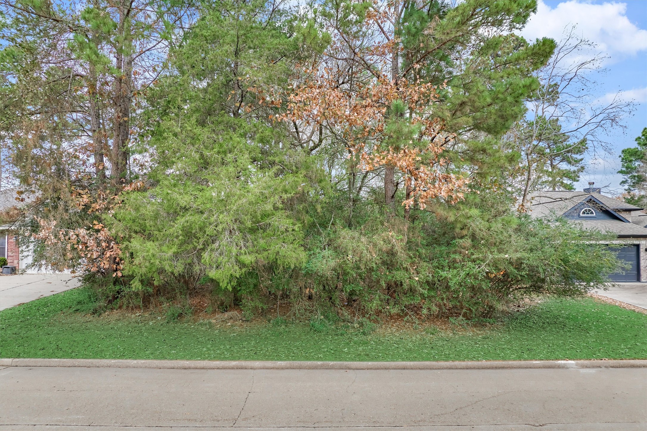 12614 Brightwood Drive Property Photo 5