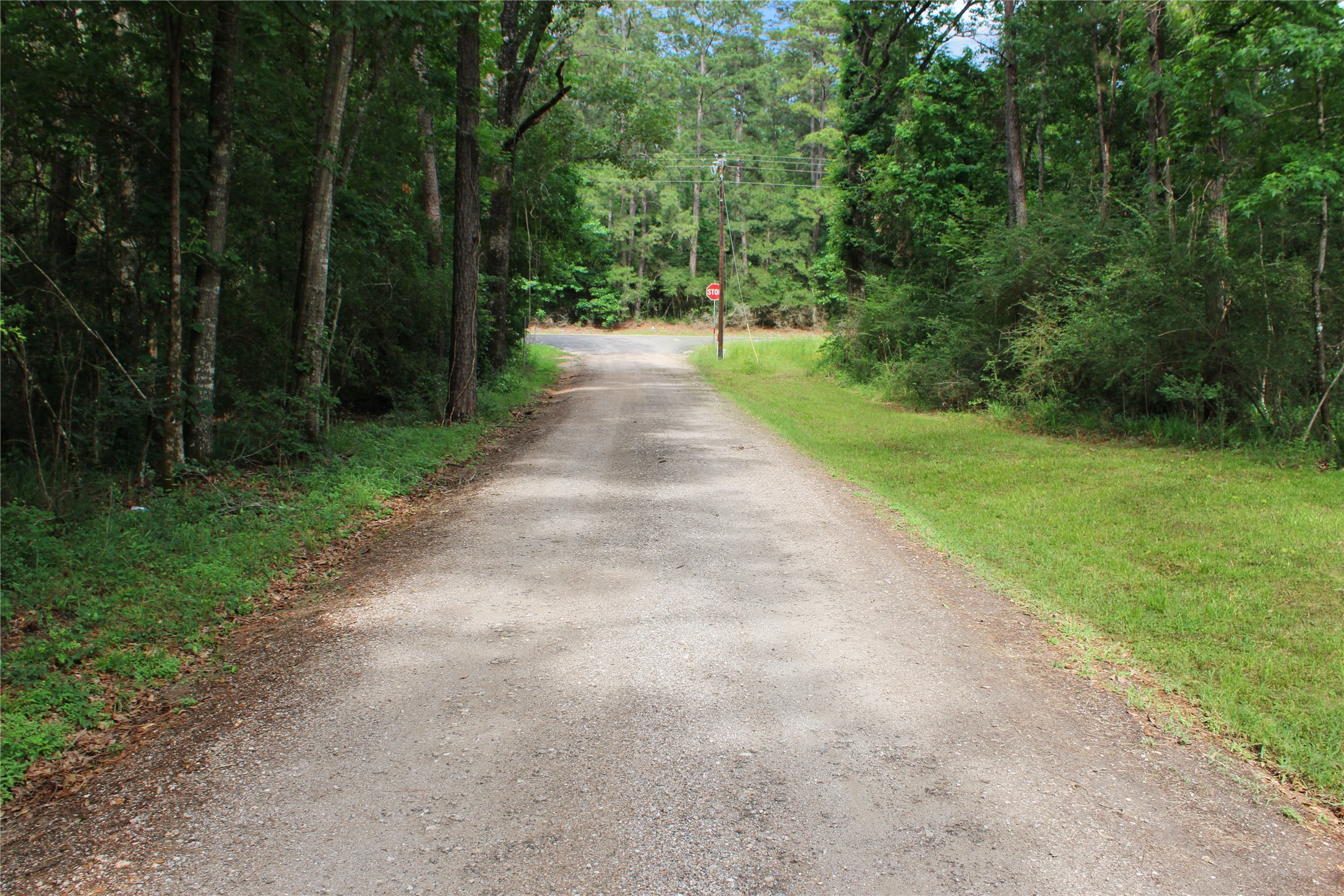 75 Robison Road Property Photo 40