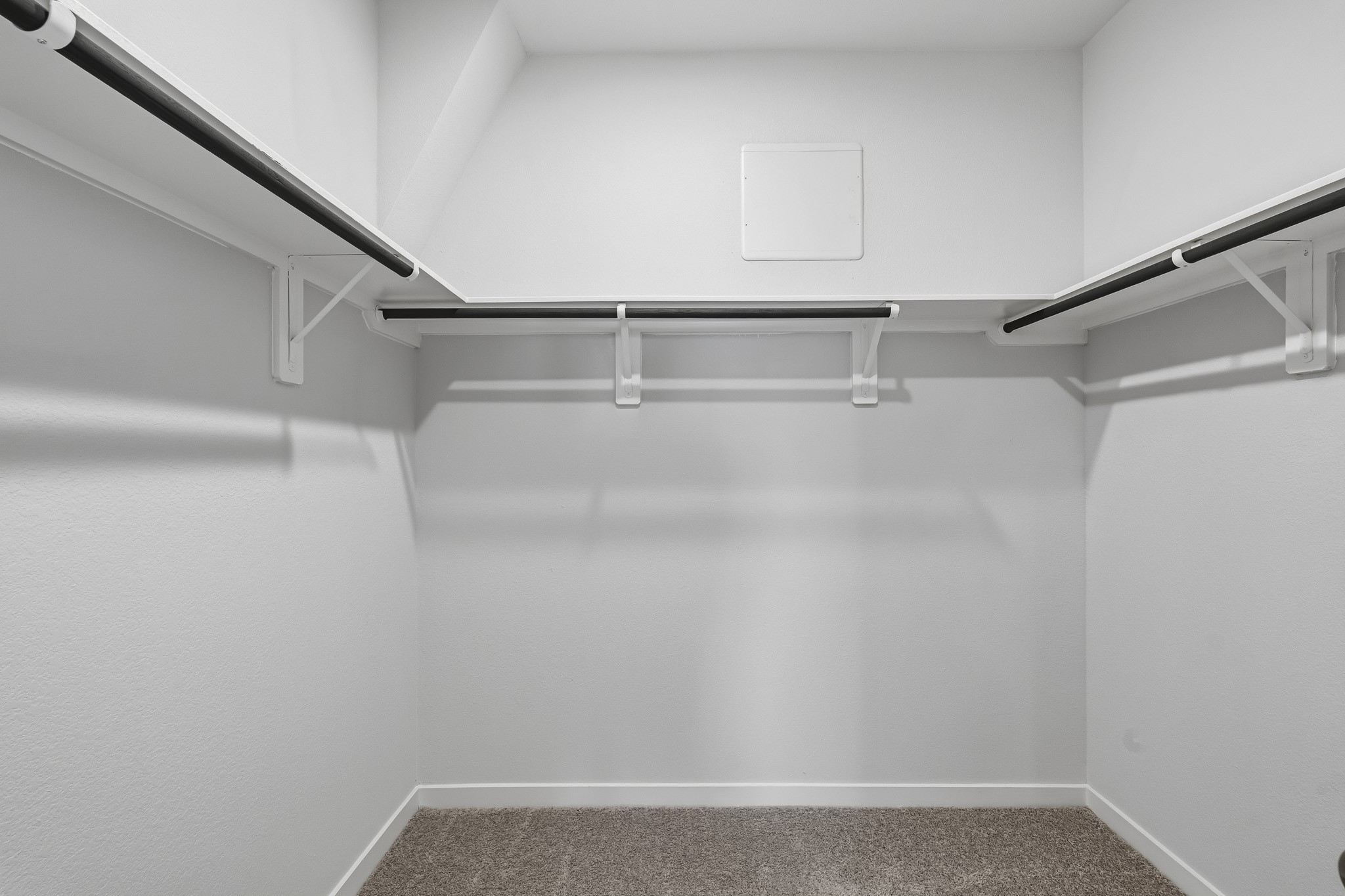 29222 Dandelion Sky Drive Property Photo 14