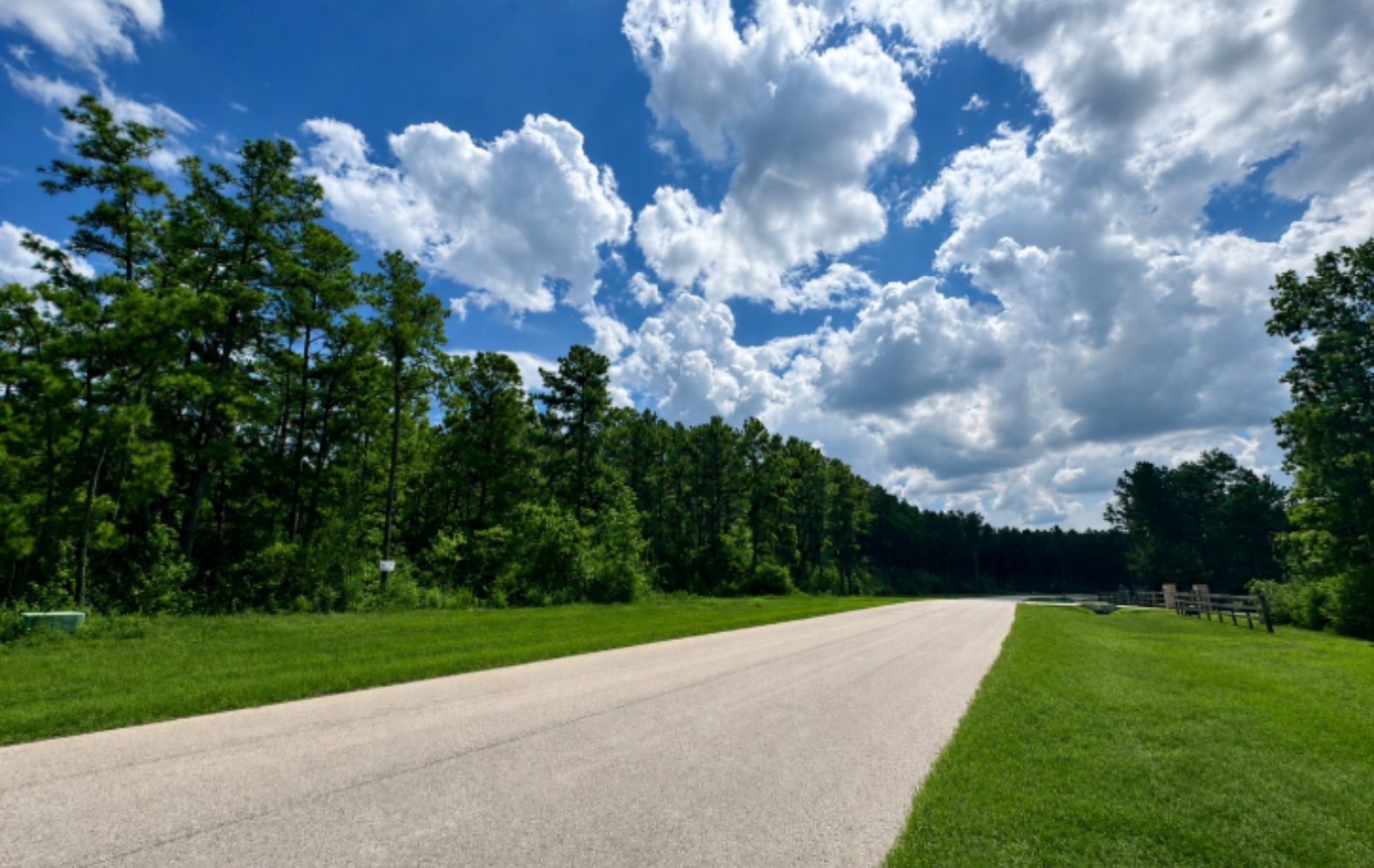 15780 Wooded Trail Way Property Photo 3