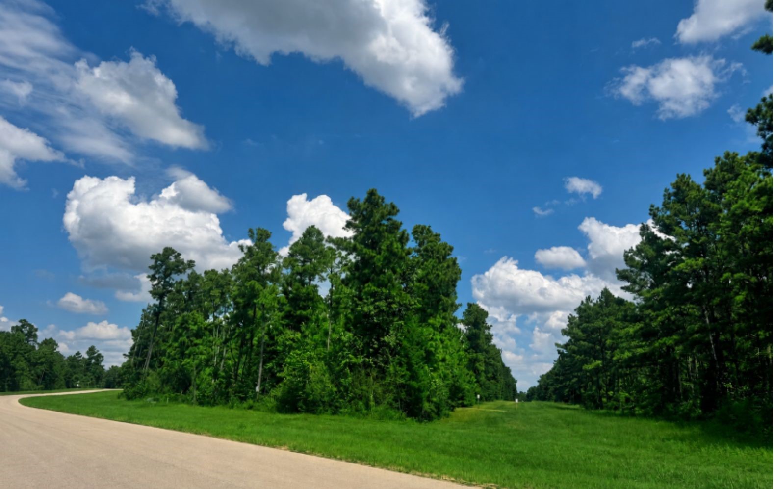15780 Wooded Trail Way Property Photo 4