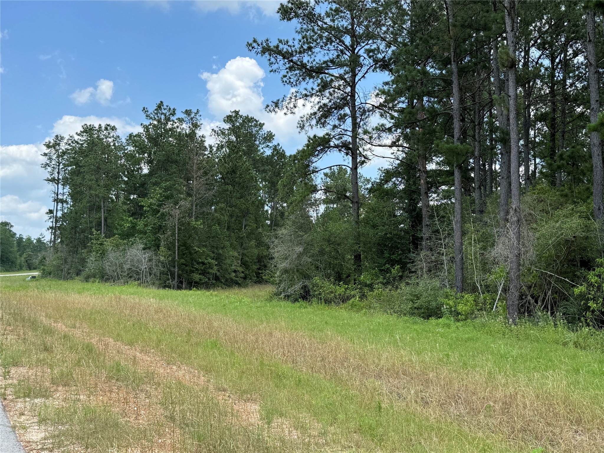 15780 Wooded Trail Way Property Photo 6