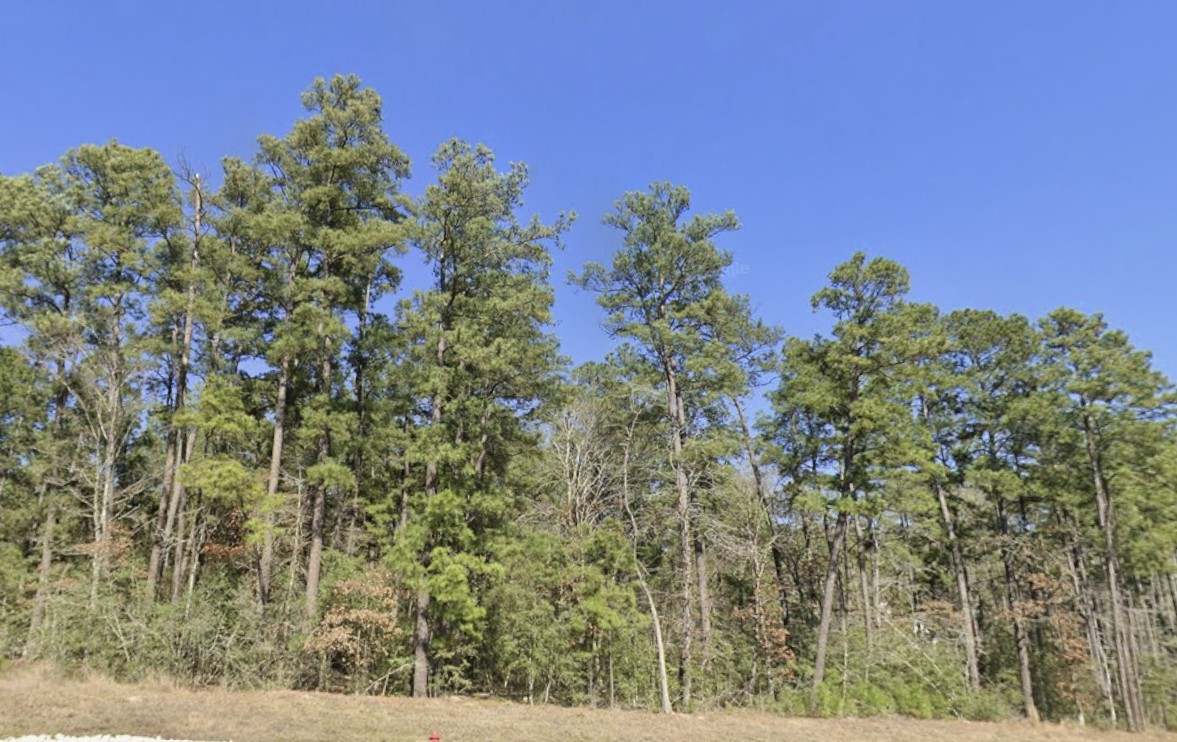 121 Rustic Ranch Drive Property Photo 8