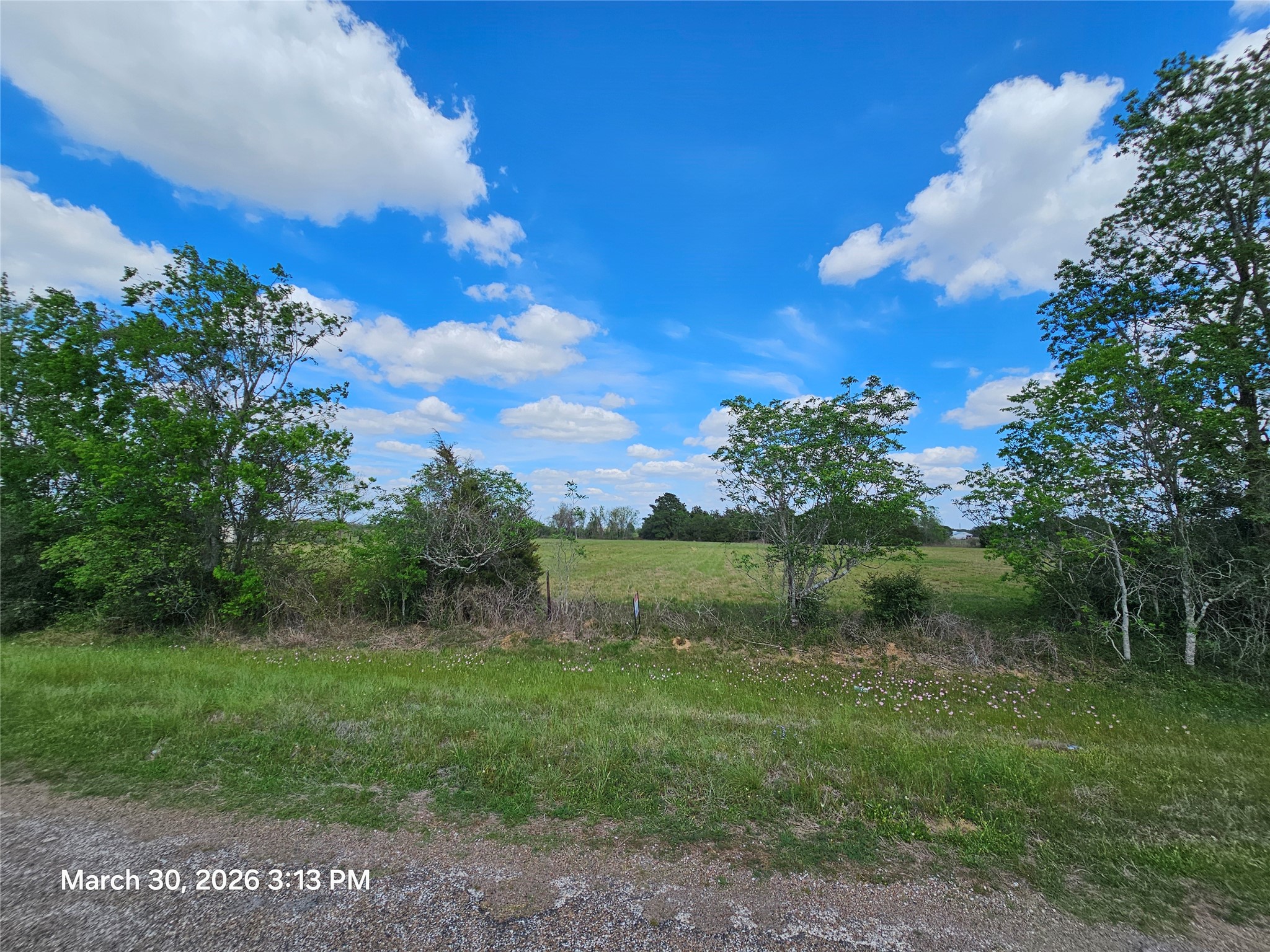 0000 County Road 293 Property Photo 1
