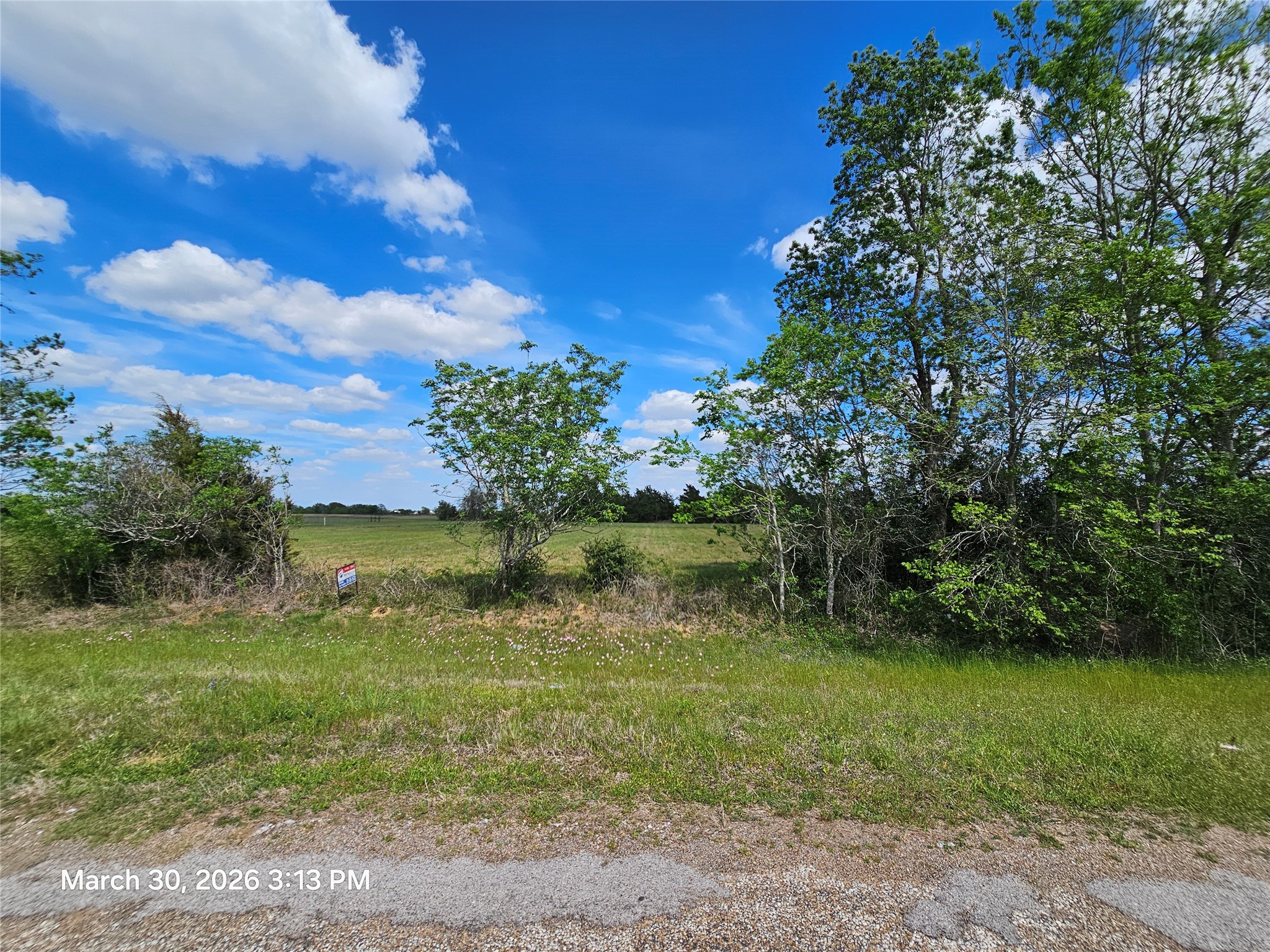0000 County Road 293 Property Photo 5