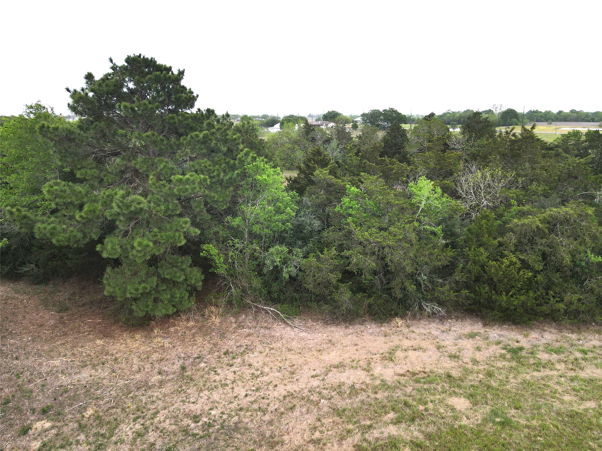 0000 County Road 293 Property Photo 10