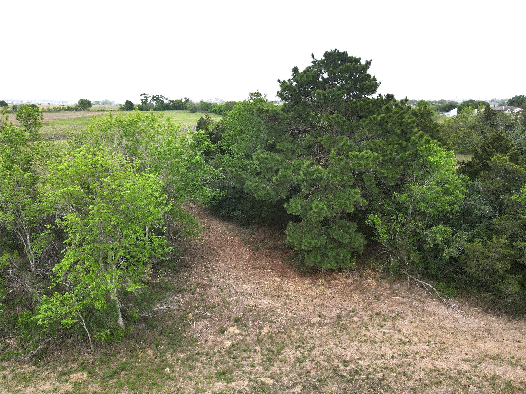 0000 County Road 293 Property Photo 11