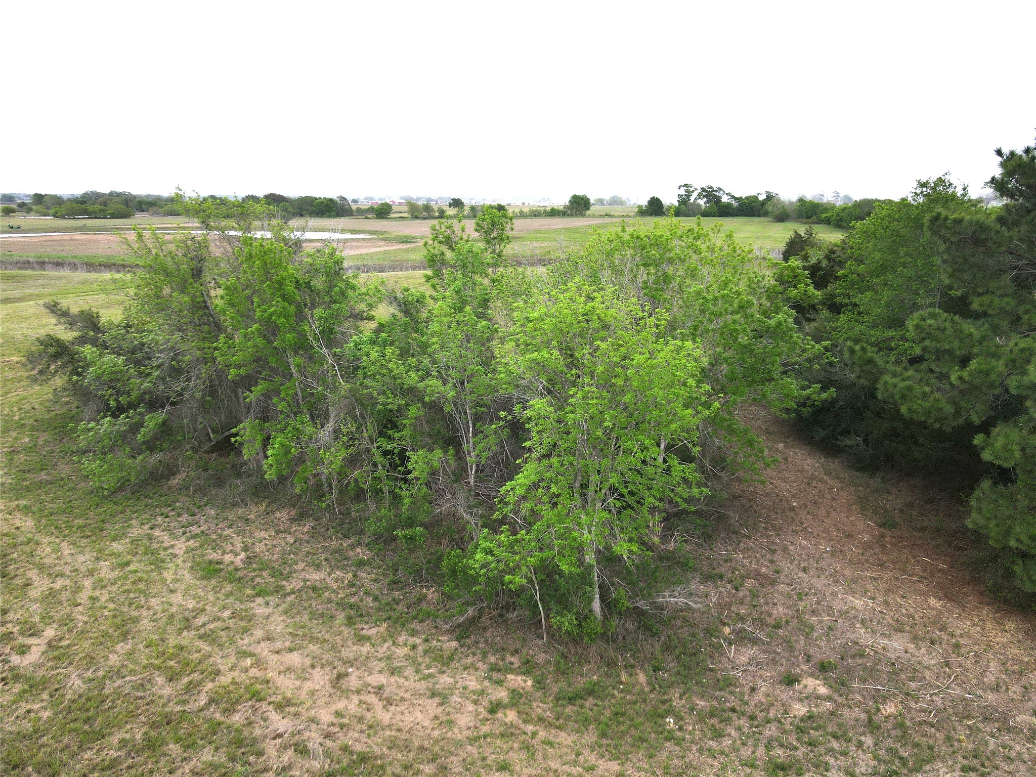 0000 County Road 293 Property Photo 12