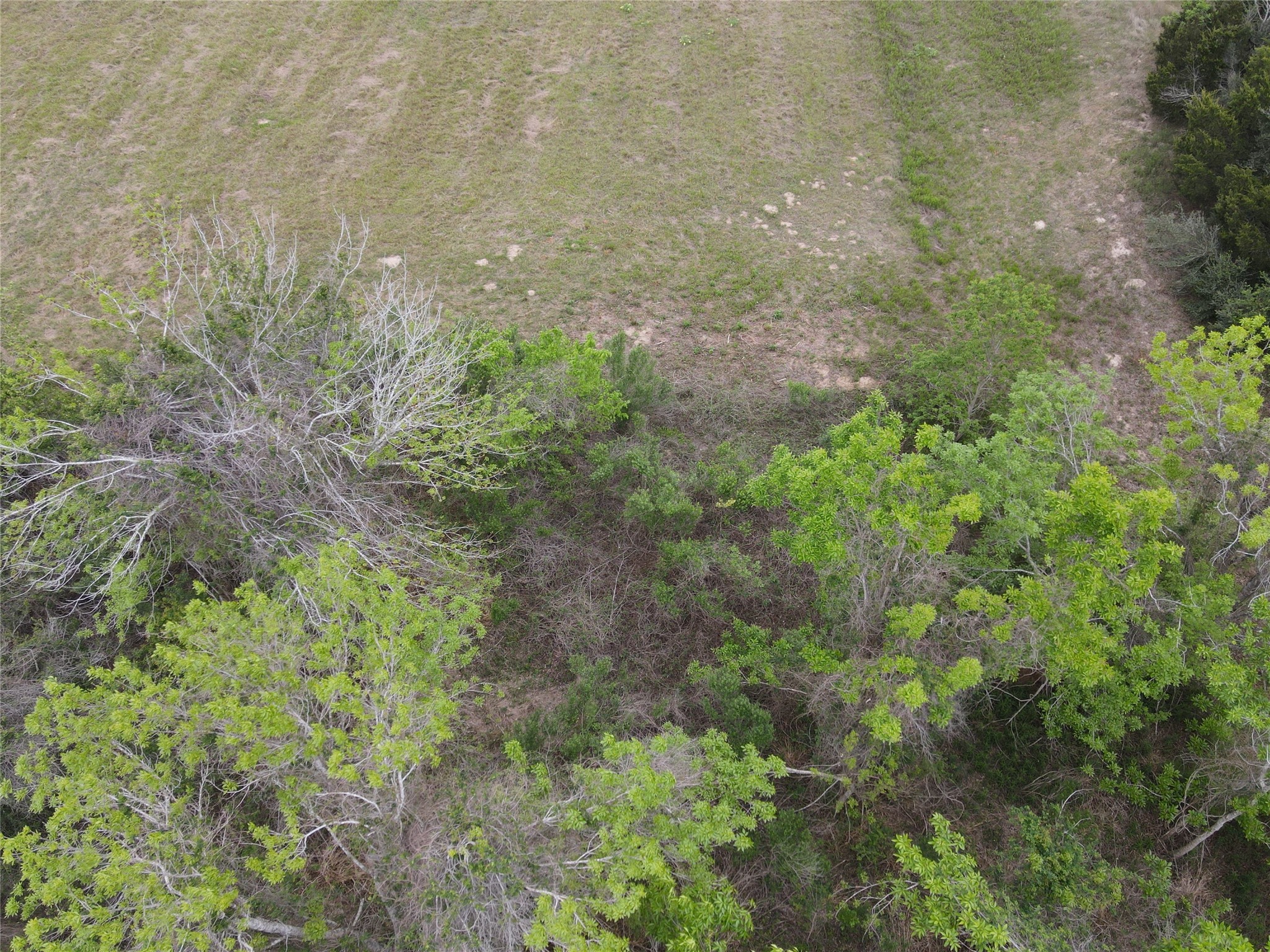 0000 County Road 293 Property Photo 14