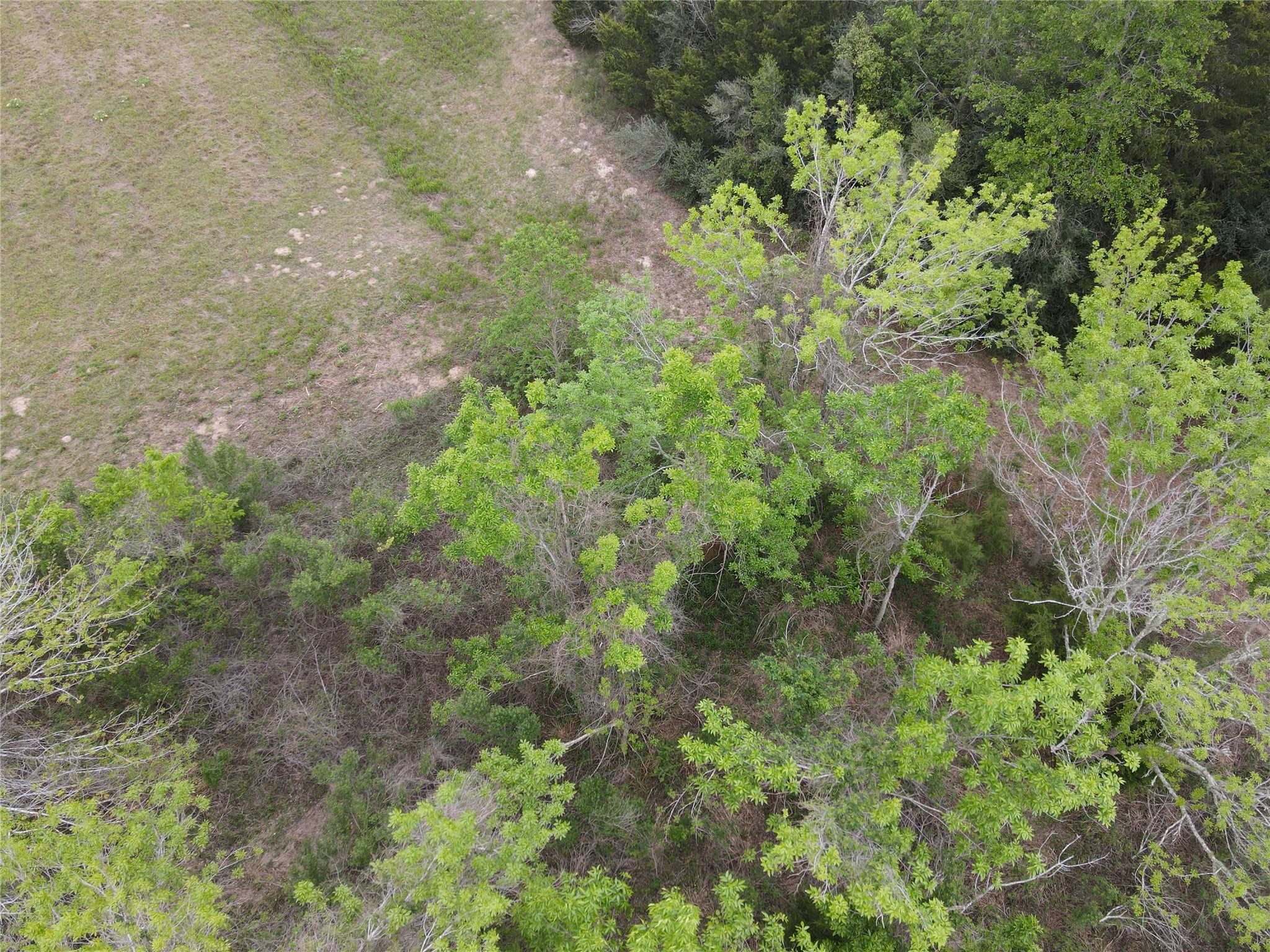 0000 County Road 293 Property Photo 15