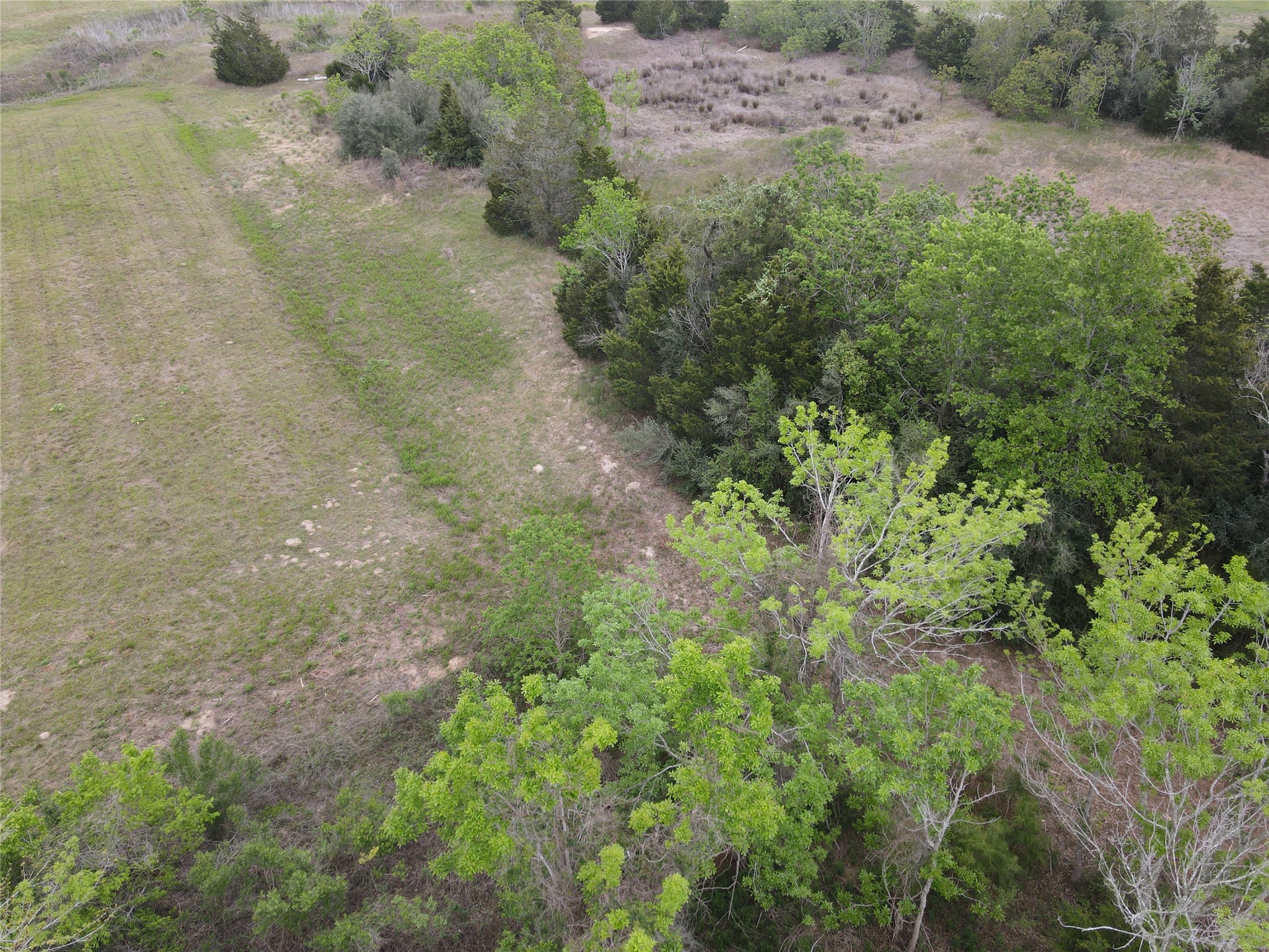 0000 County Road 293 Property Photo 16
