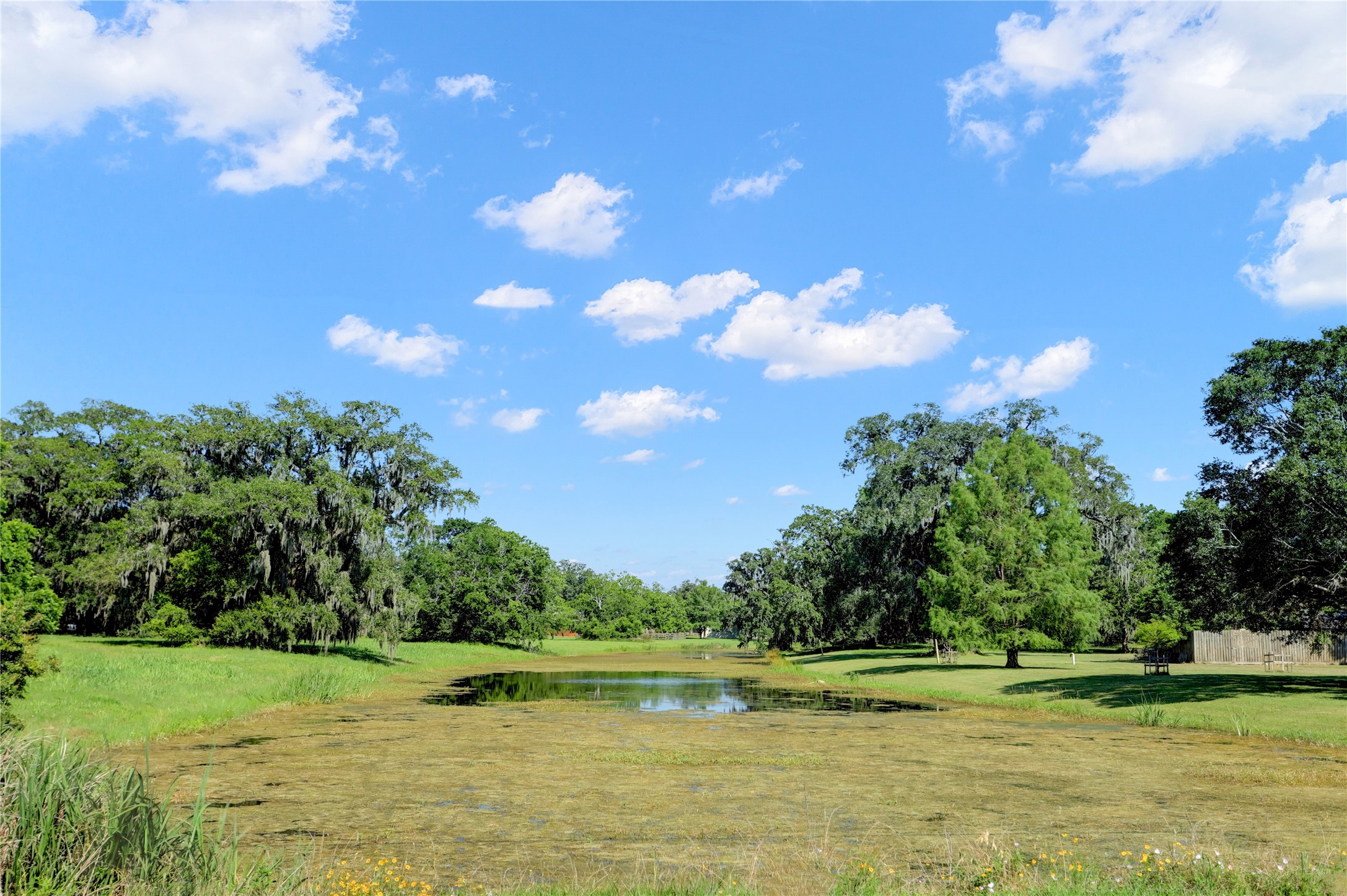 125 Stage Coach Trail Property Photo 4