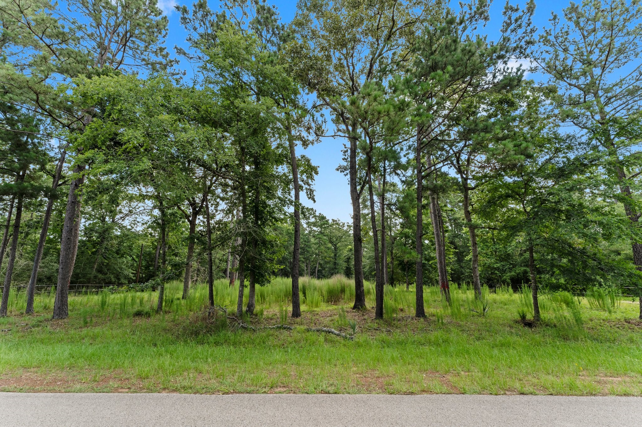 40110 Otero Road Property Photo 1