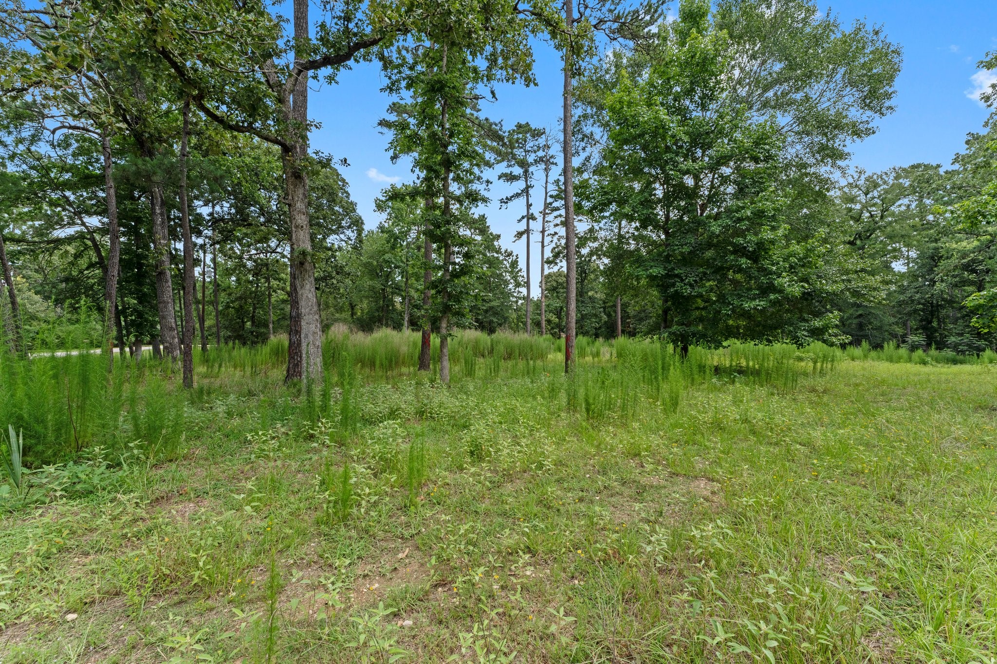 40110 Otero Road Property Photo 6
