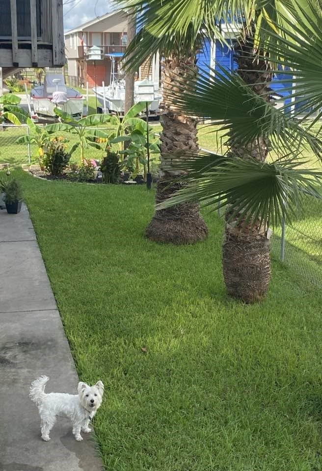 4014 Reeves Drive Property Photo 15