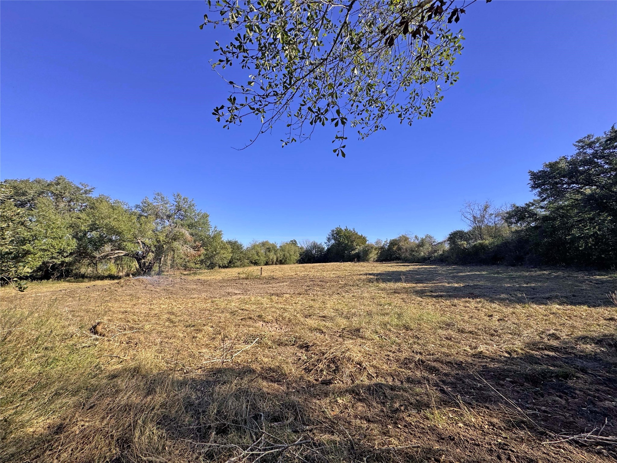 1a Hoppers Lane Property Photo 4