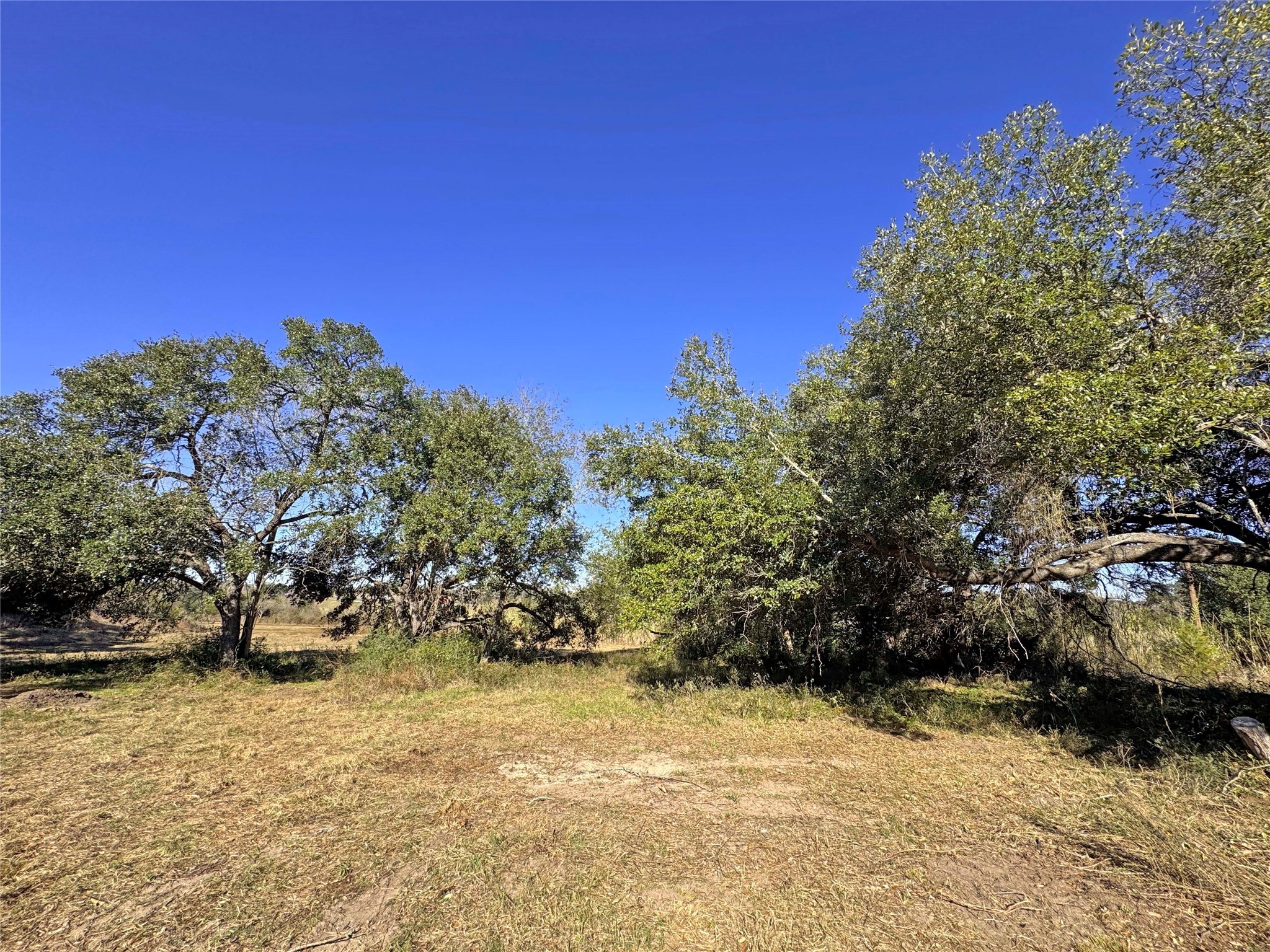 1a Hoppers Lane Property Photo 5
