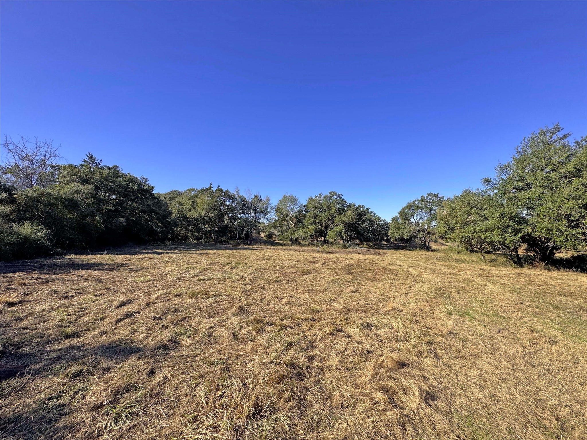 1a Hoppers Lane Property Photo 7