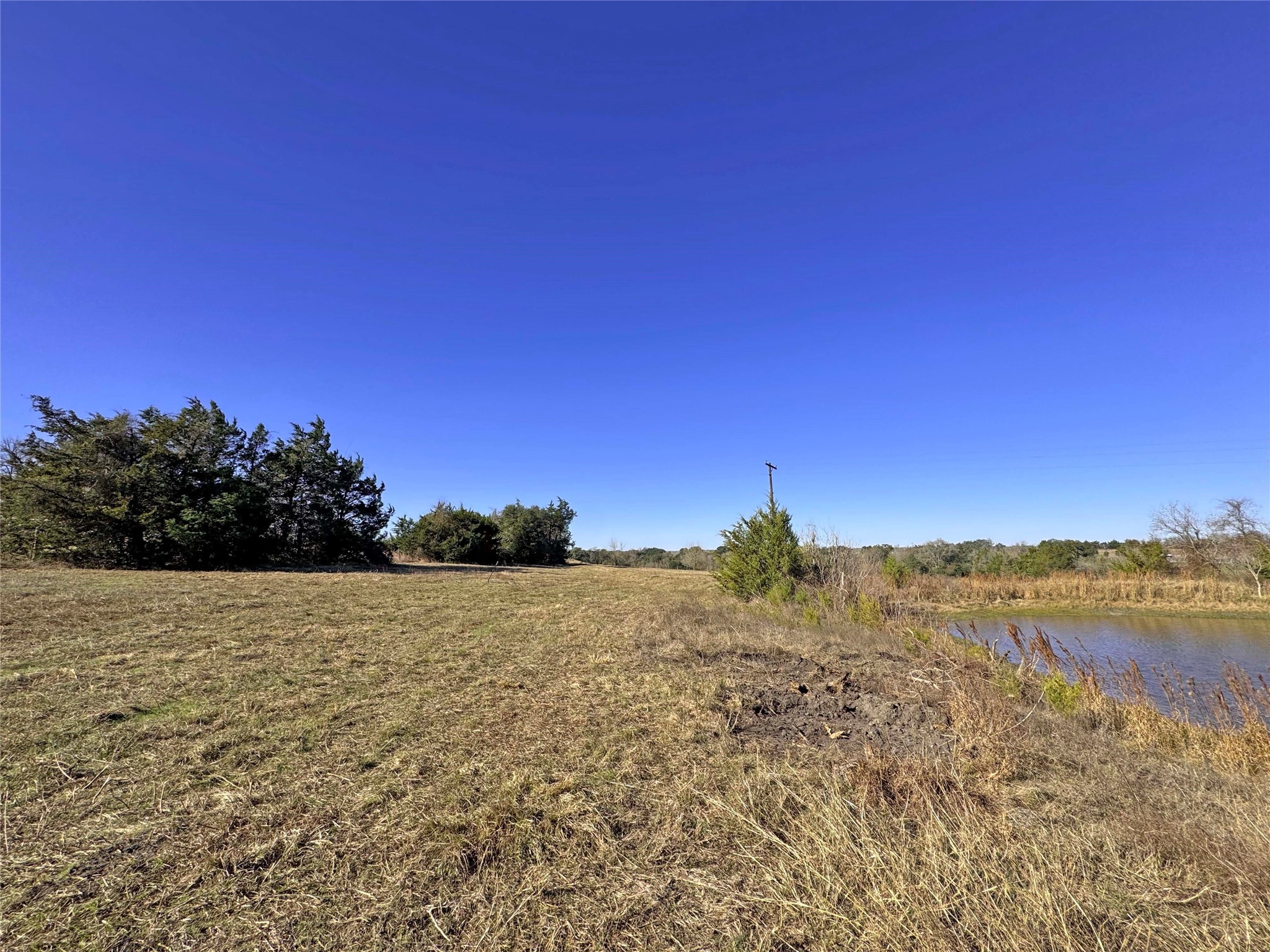 1a Hoppers Lane Property Photo 10
