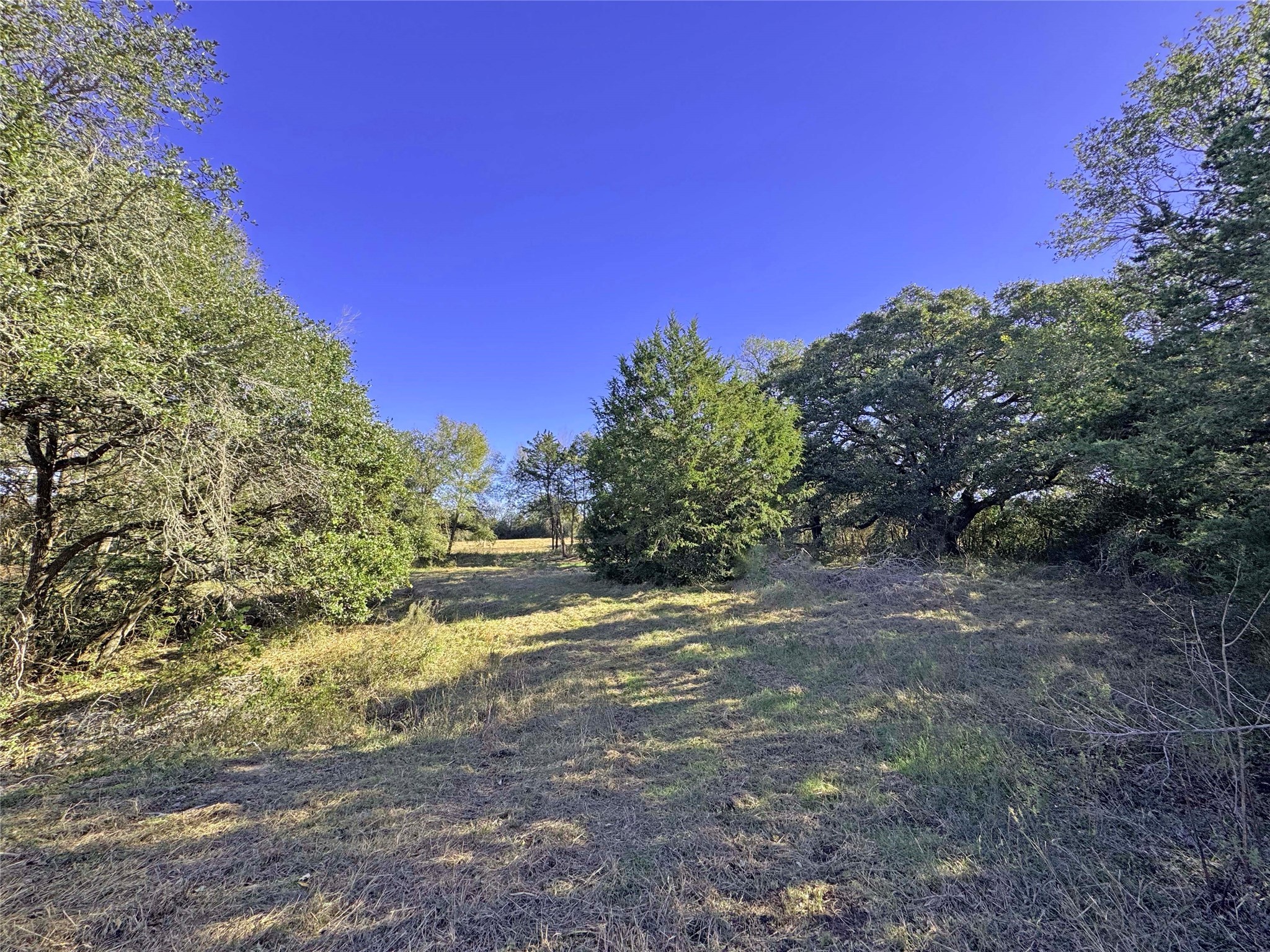 1a Hoppers Lane Property Photo 13