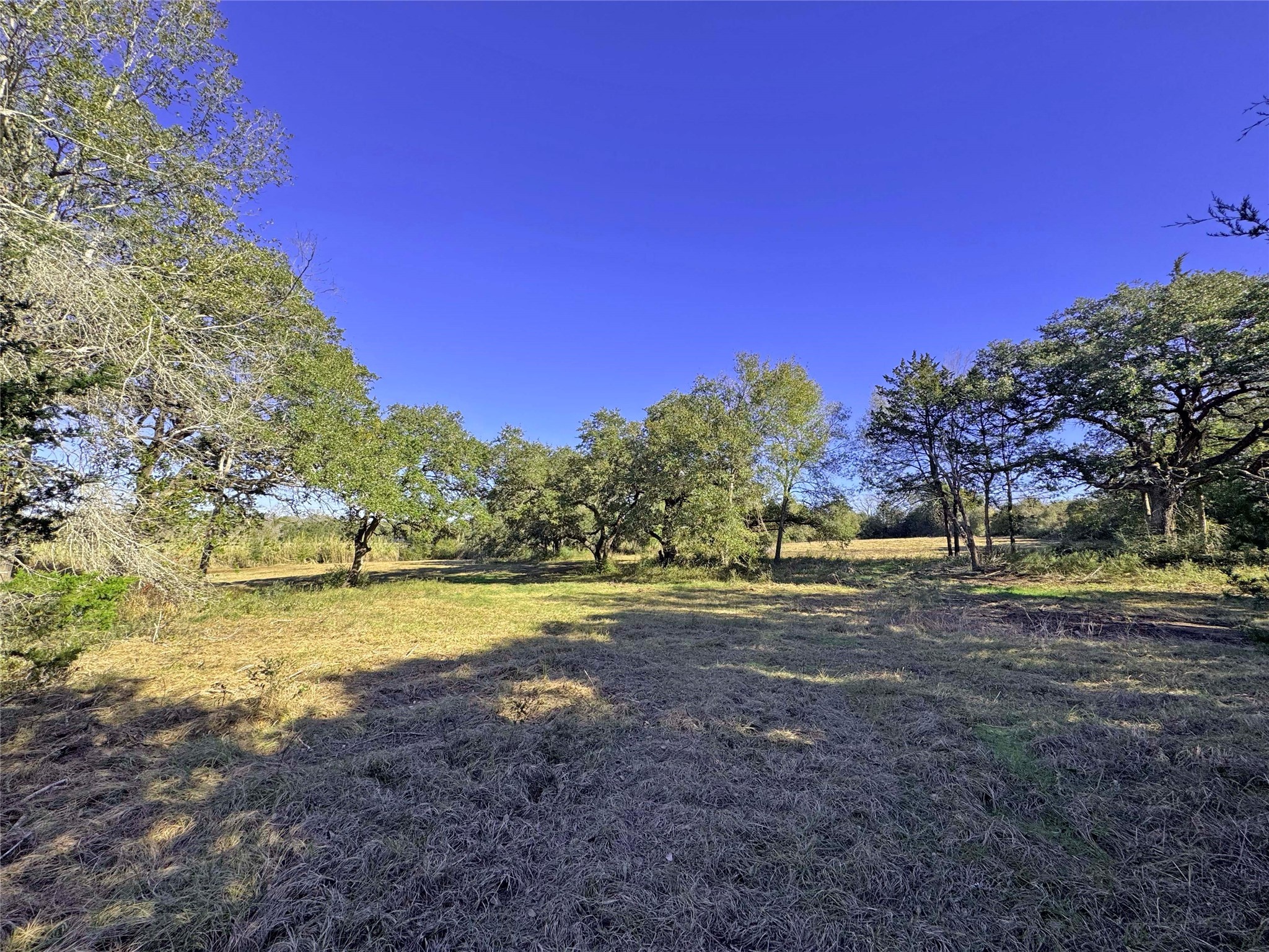 1a Hoppers Lane Property Photo 14