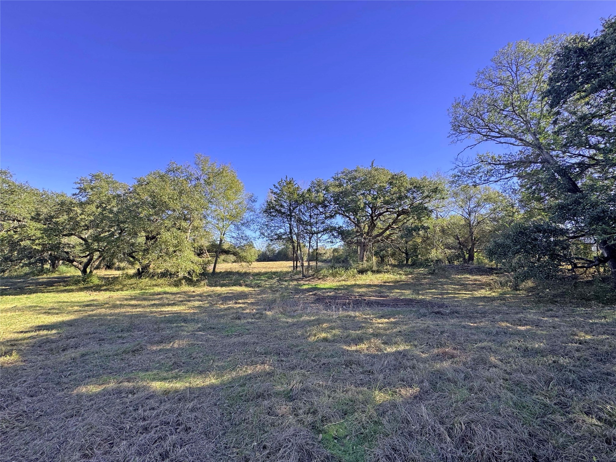 1a Hoppers Lane Property Photo 15