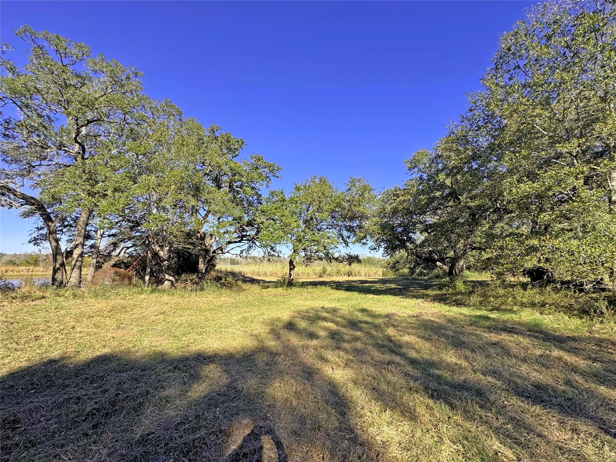 1a Hoppers Lane Property Photo 16