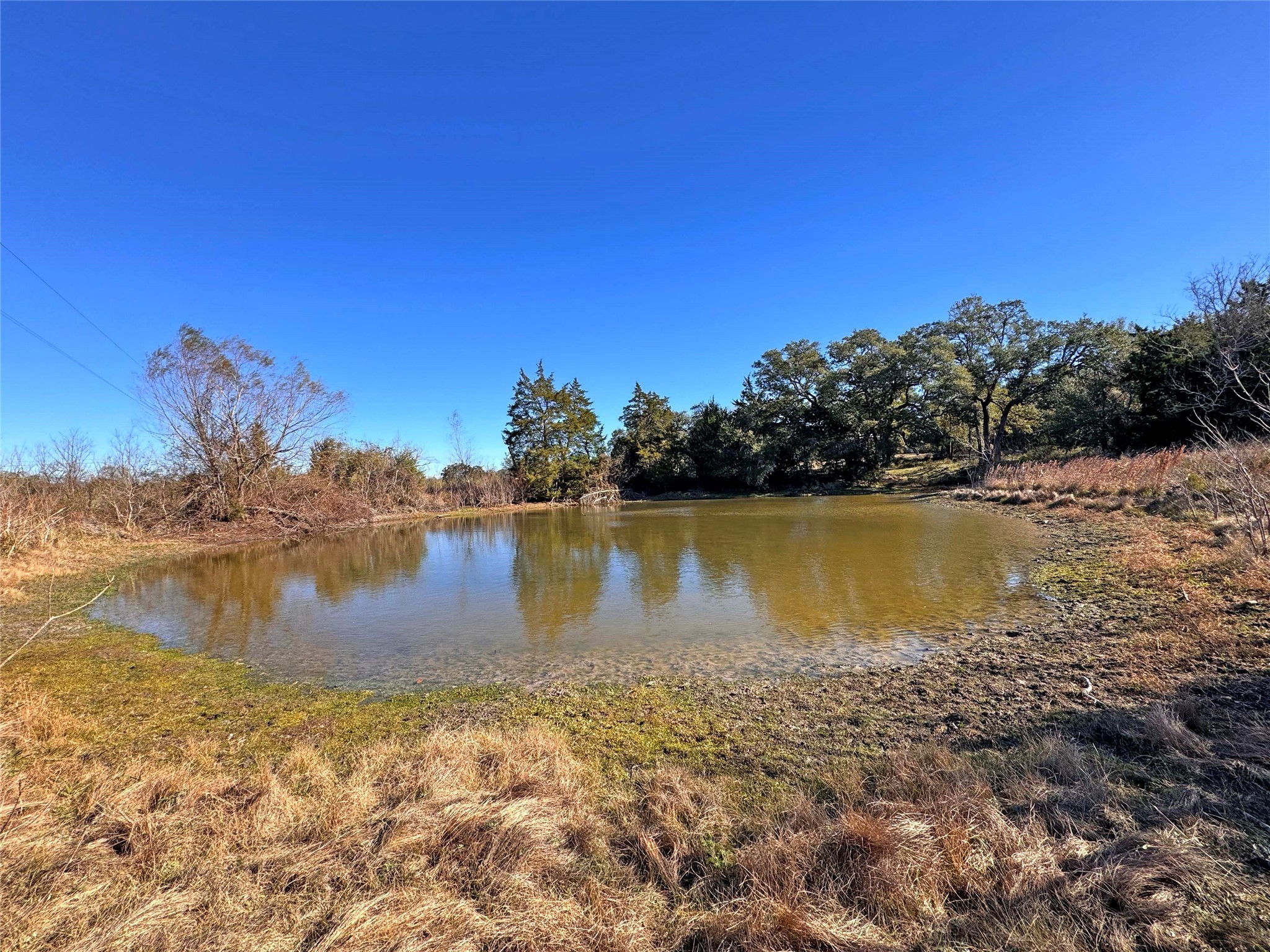 1a Hoppers Lane Property Photo 18