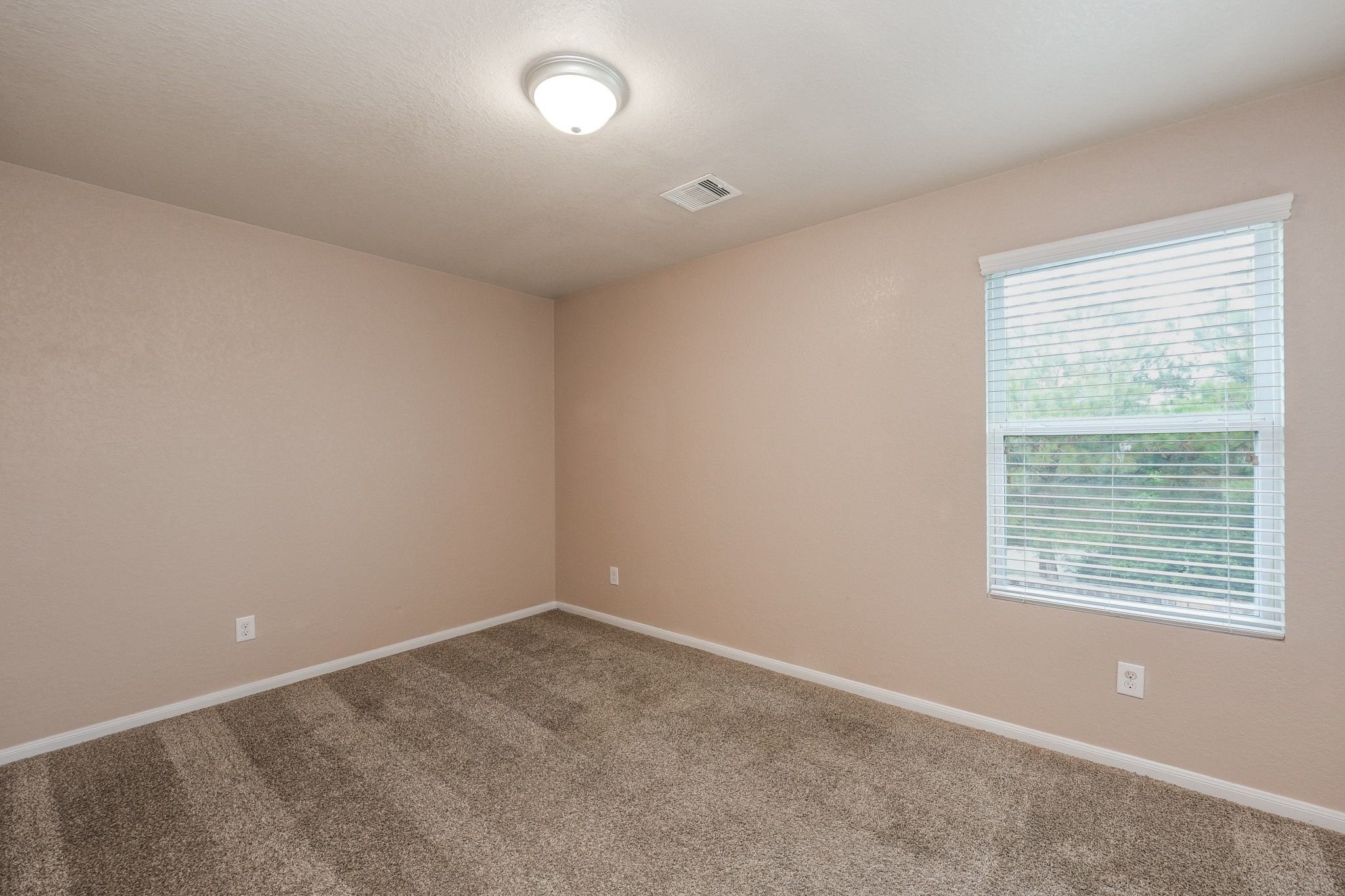 8115 Redbud Point Lane Property Photo 20