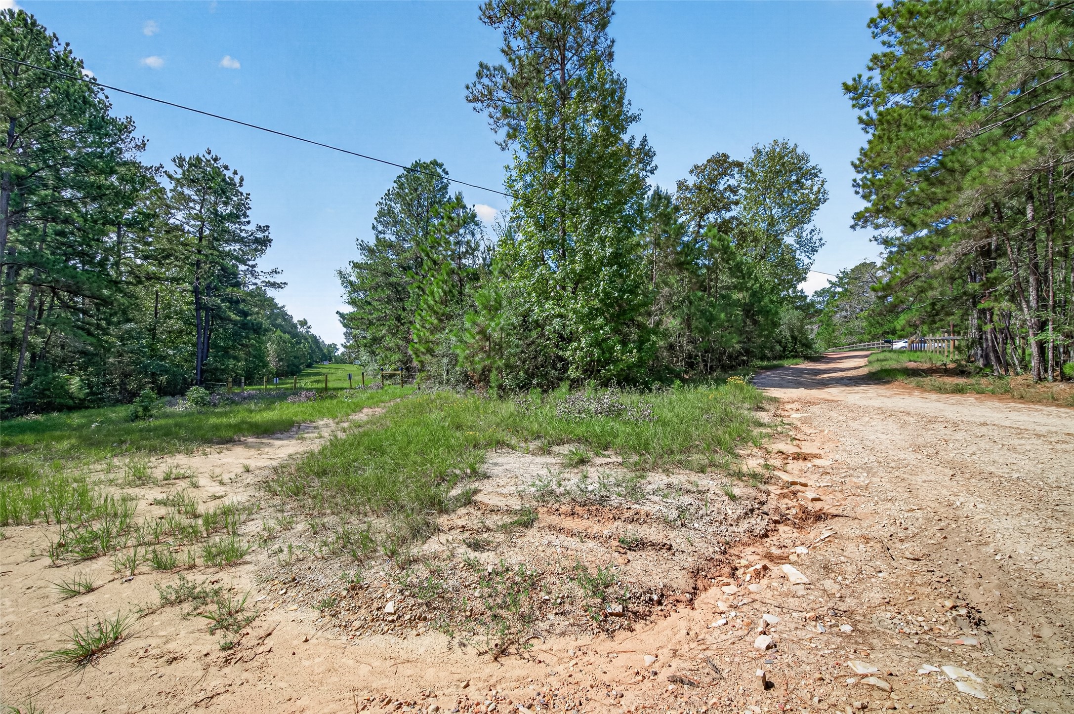 1336 Darrel Hall Drive Property Photo 6
