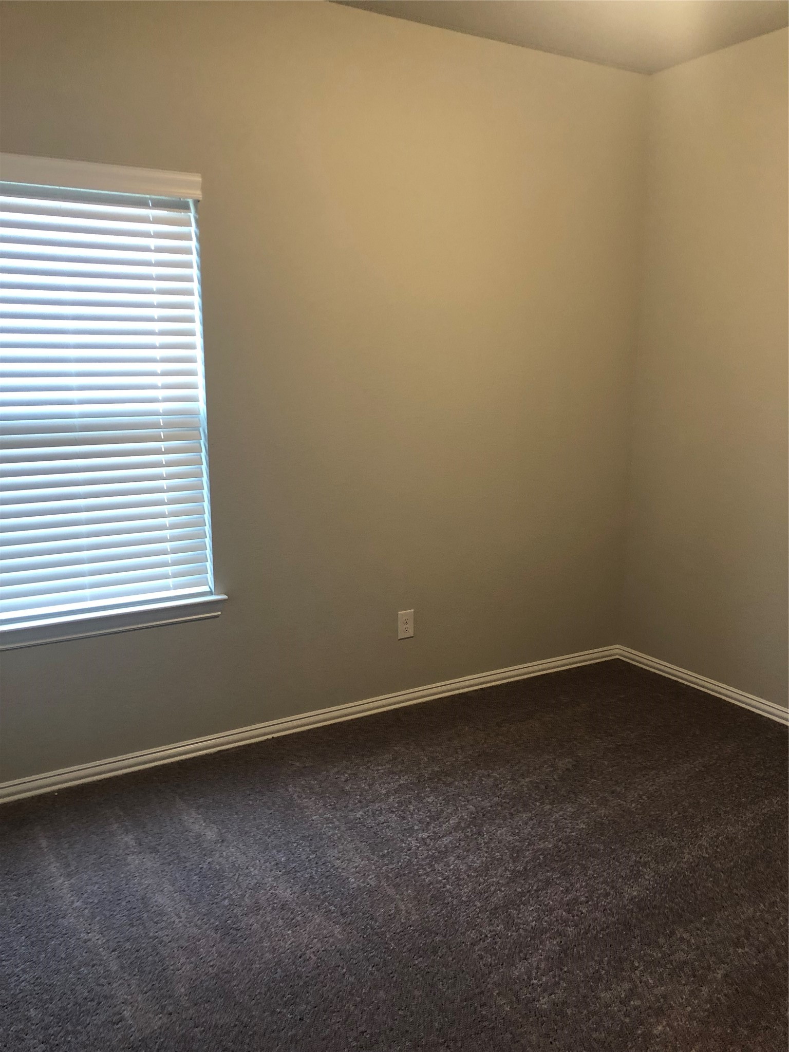 31315 Conover Drive Property Photo 10