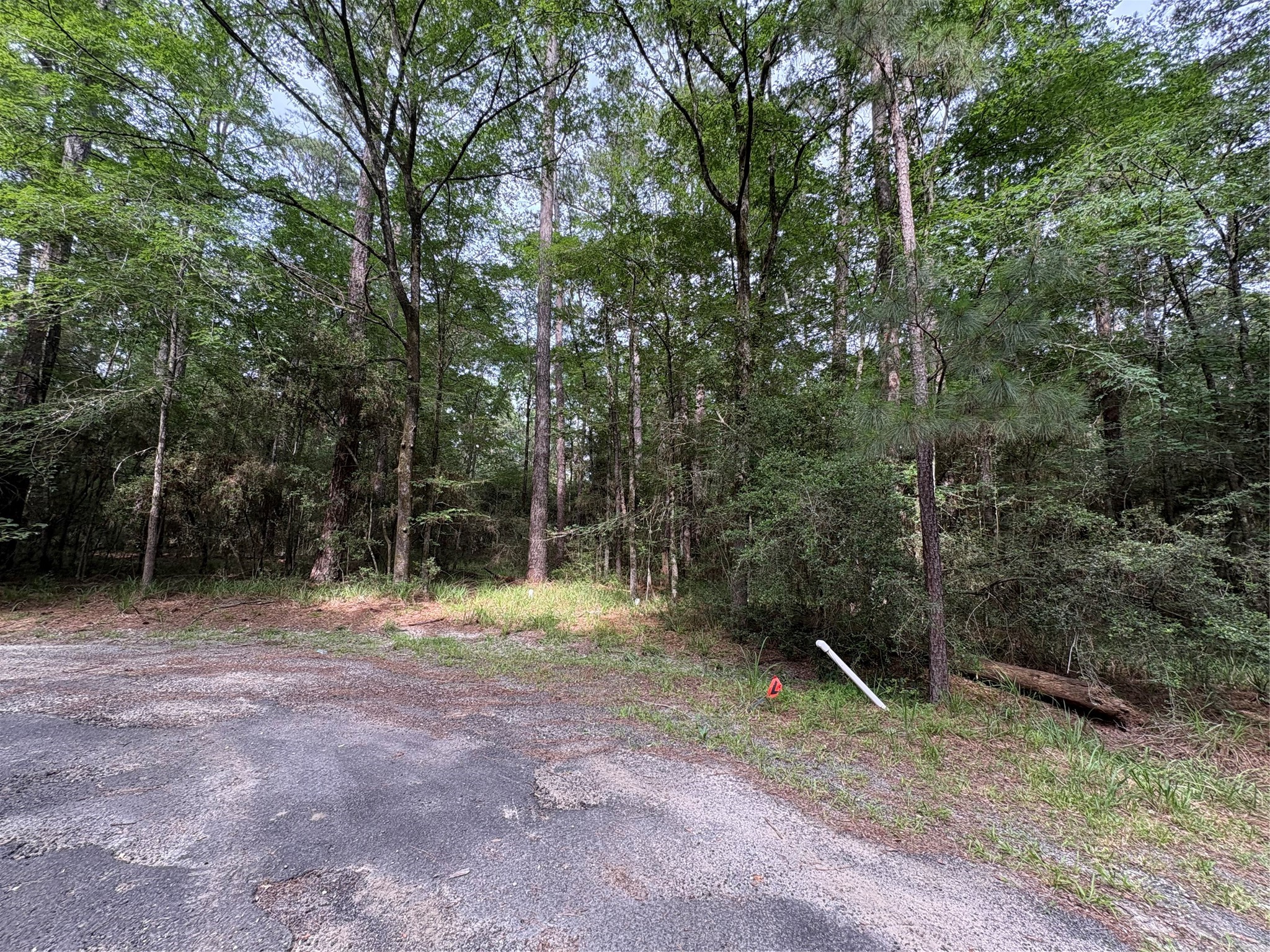 TBD N Clear Springs Road Property Photo 1