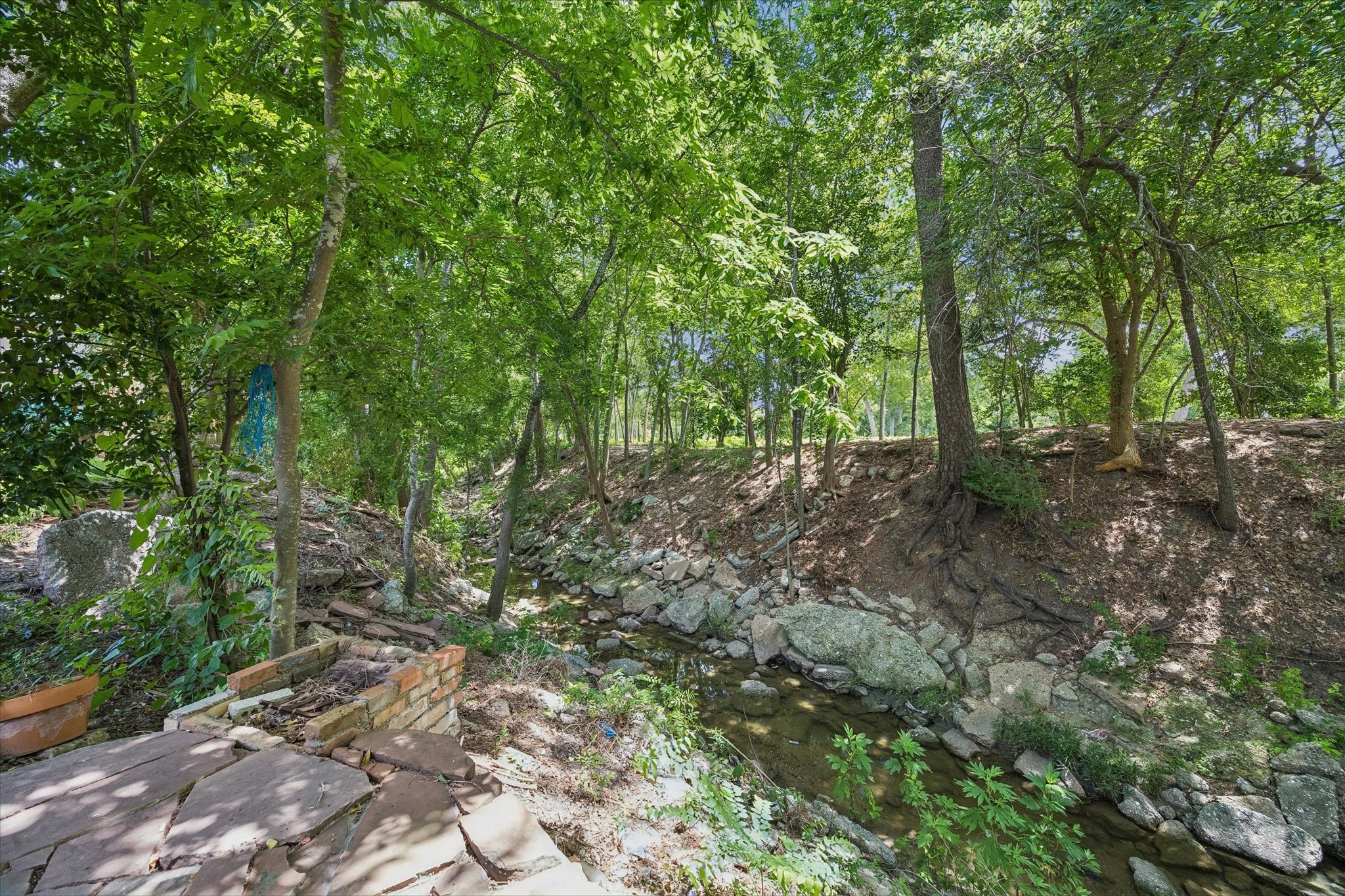115 Blue Willow Drive Property Photo 35