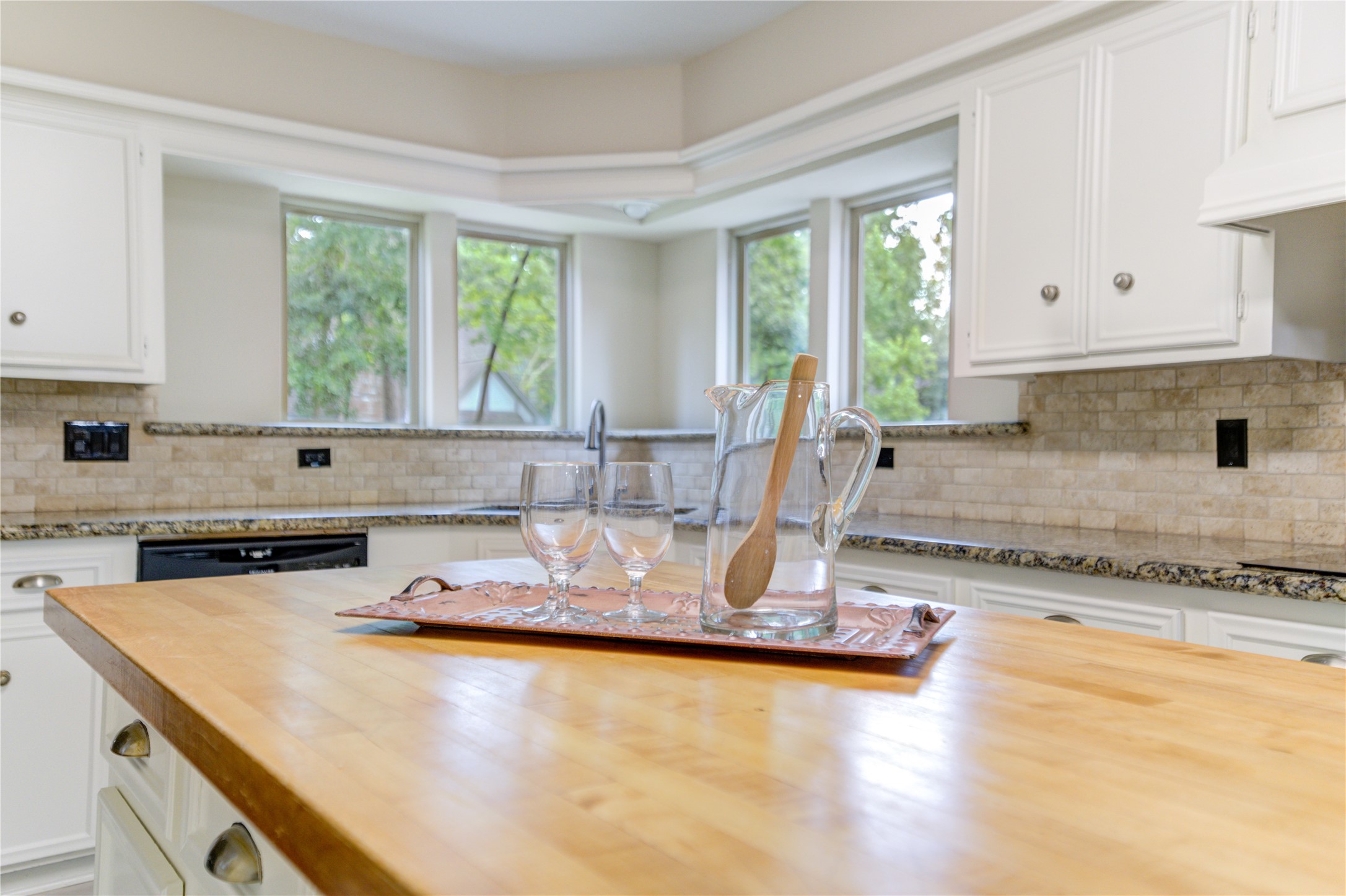 17 Marsh Millet Court Property Photo 10