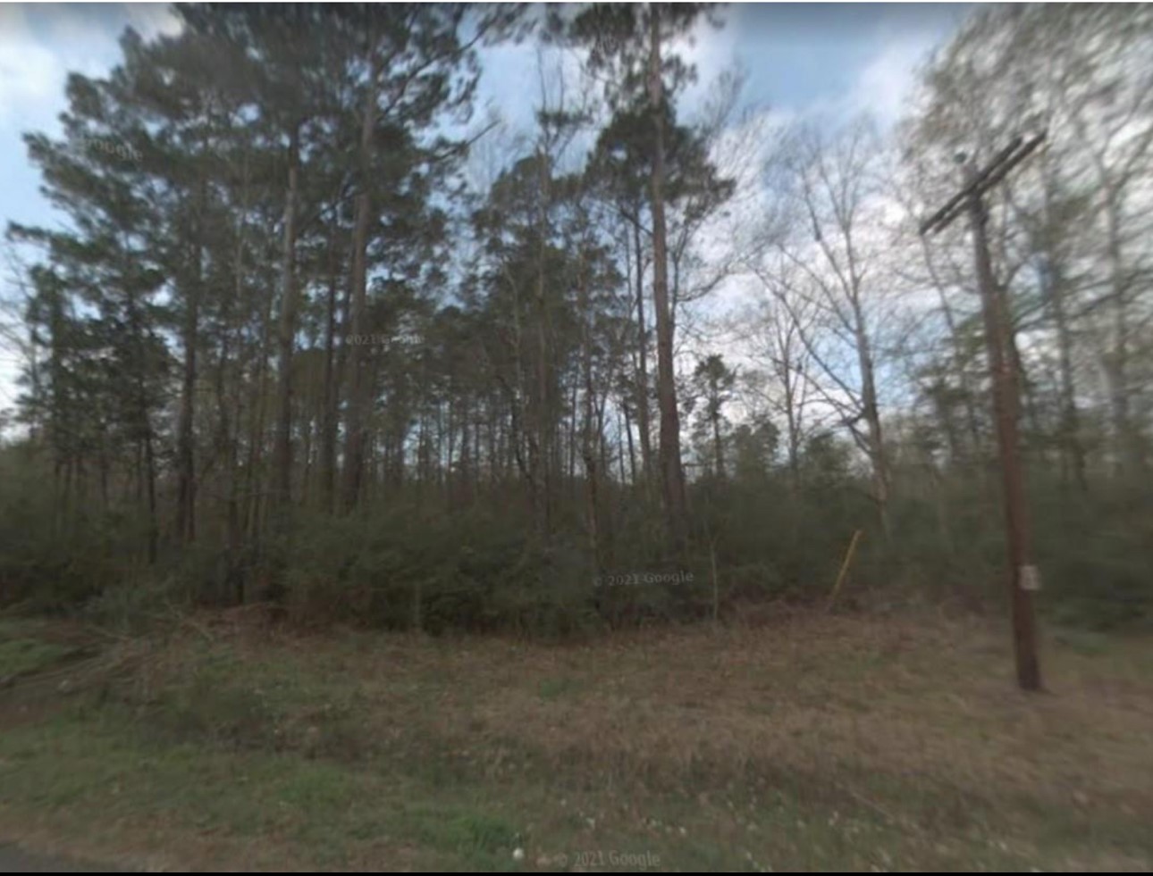 0 Chris Brent Drive Property Photo 2