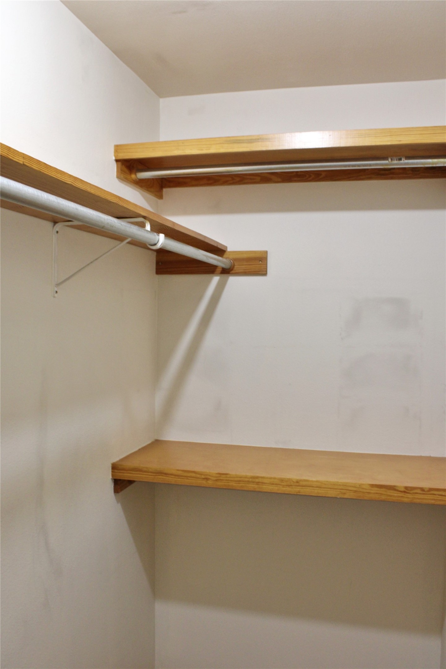 428 Dewees Street Property Photo 11