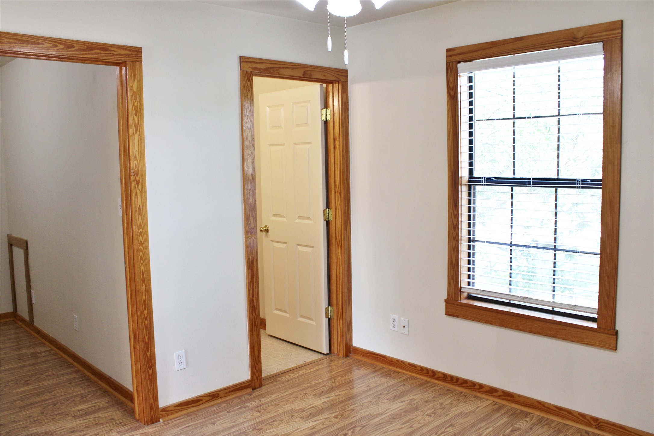 428 Dewees Street Property Photo 12