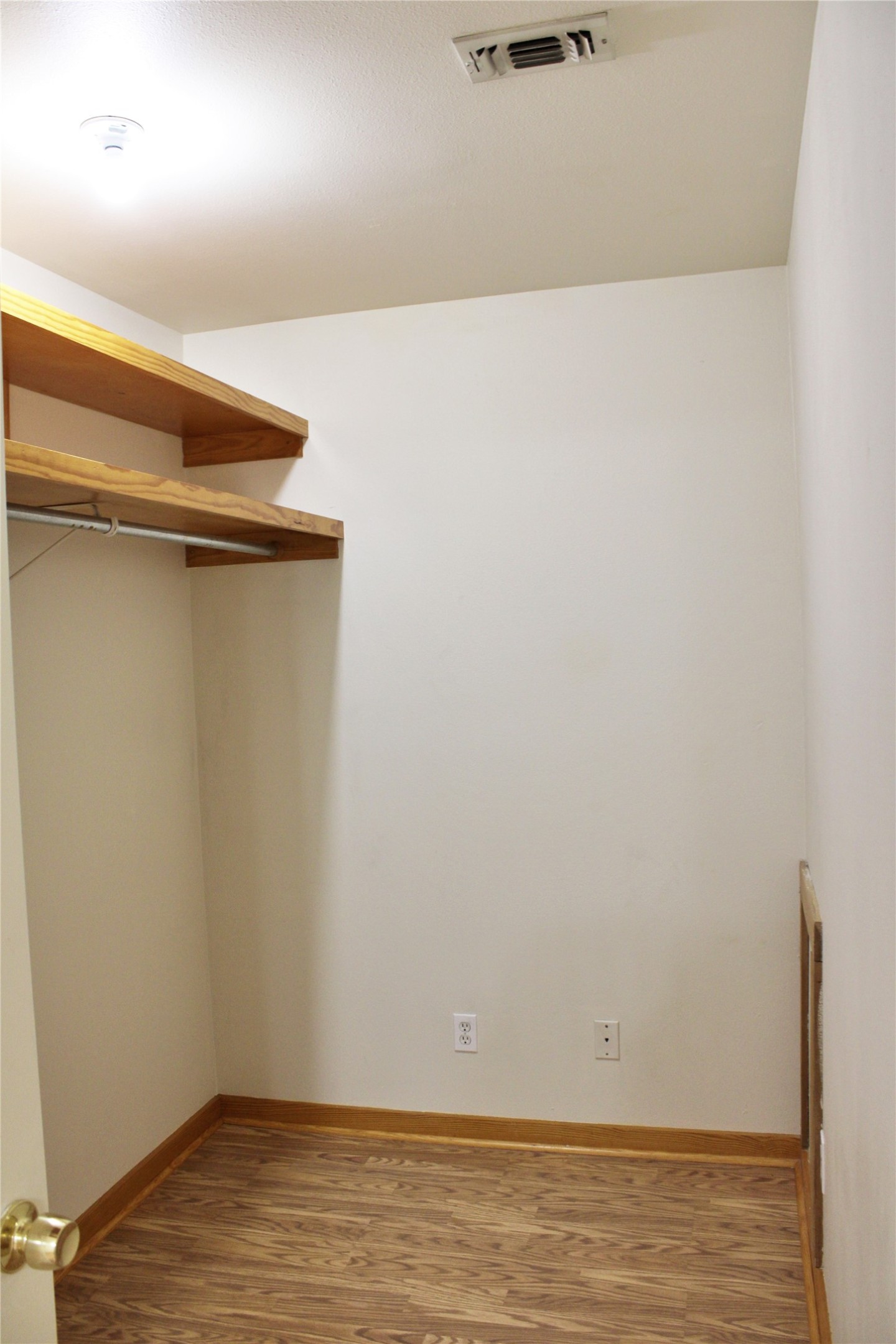 428 Dewees Street Property Photo 14