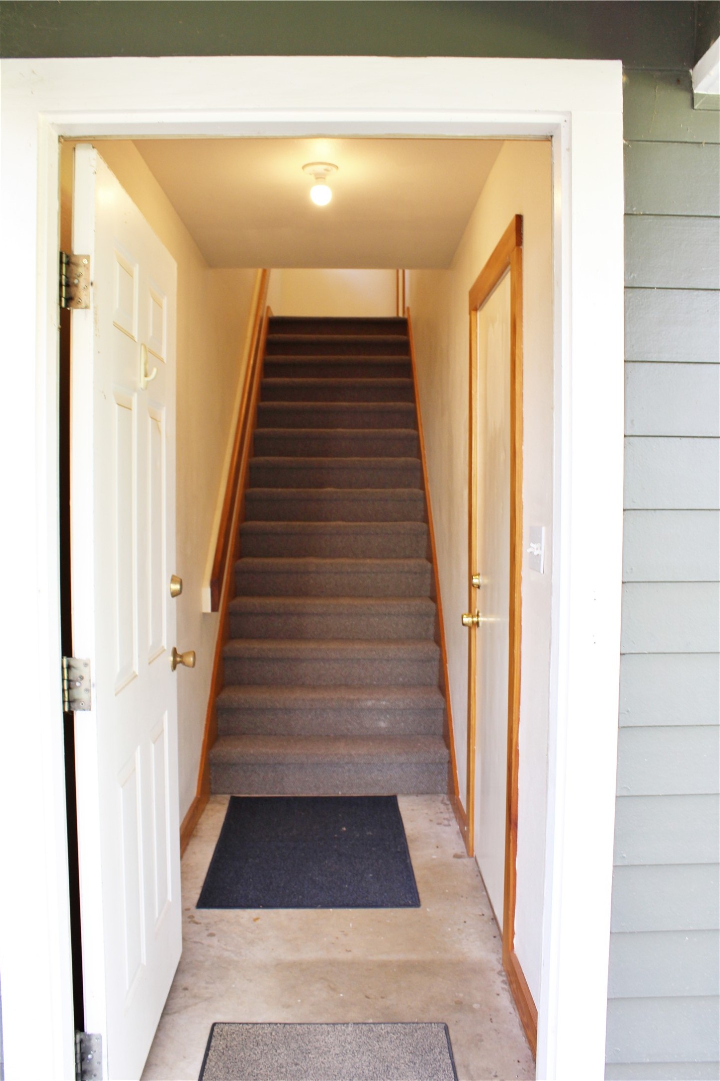 428 Dewees Street Property Photo 15
