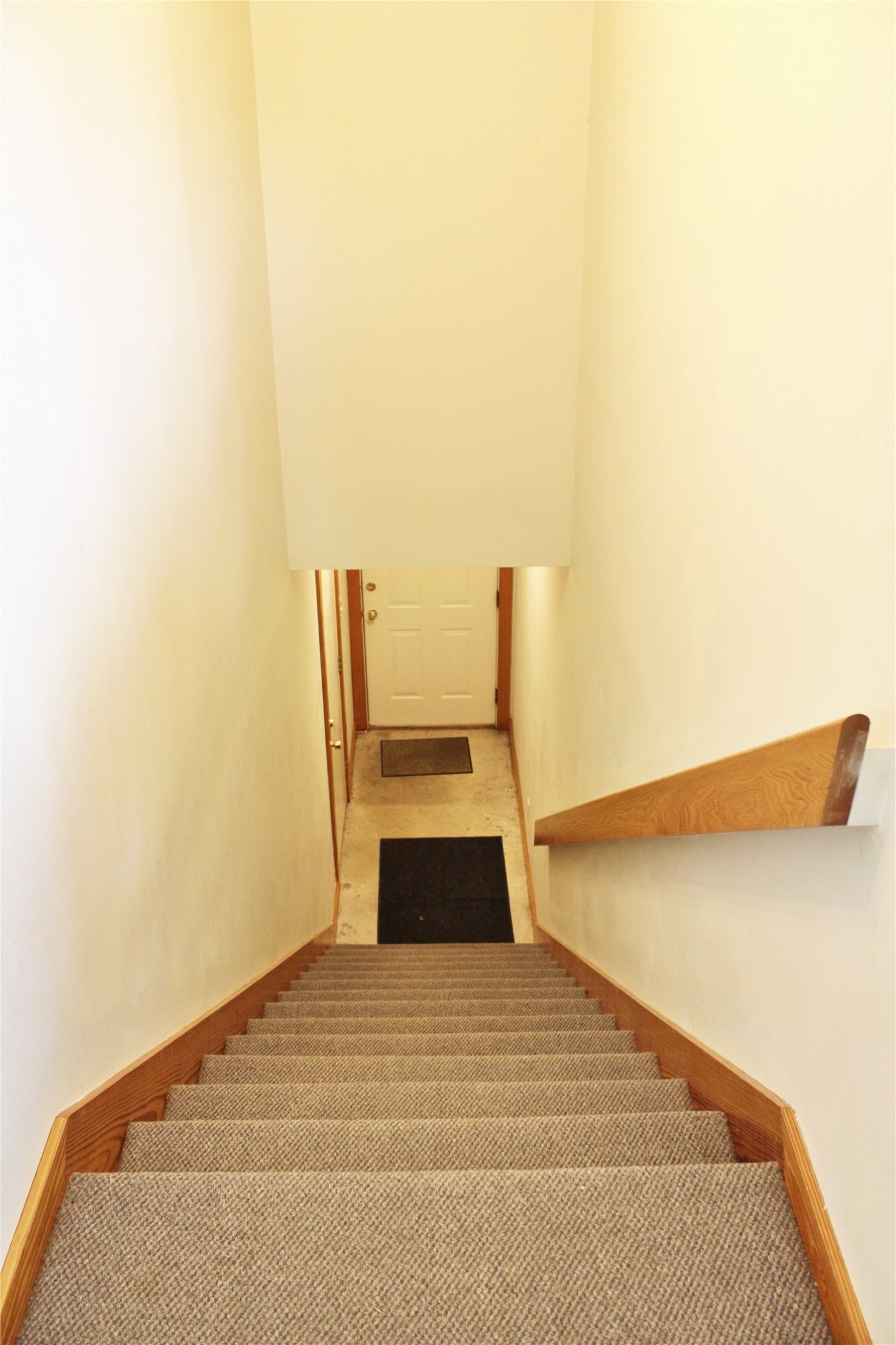 428 Dewees Street Property Photo 16