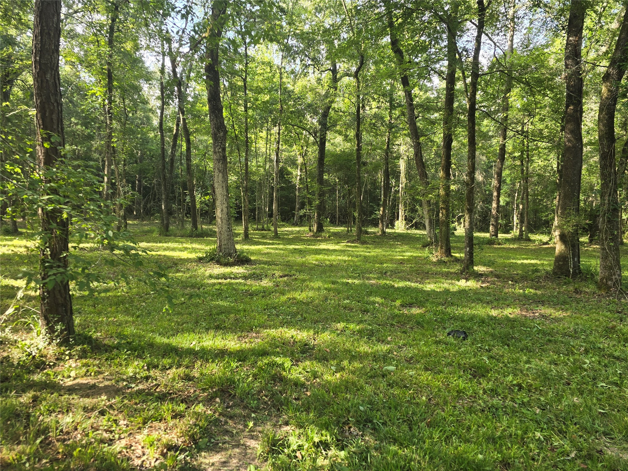 00 Tbd Hwy 150 W Property Photo 1