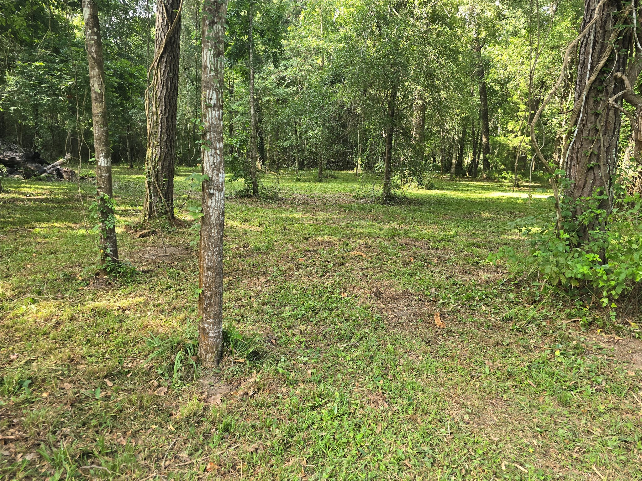 00 Tbd Hwy 150 W Property Photo 3