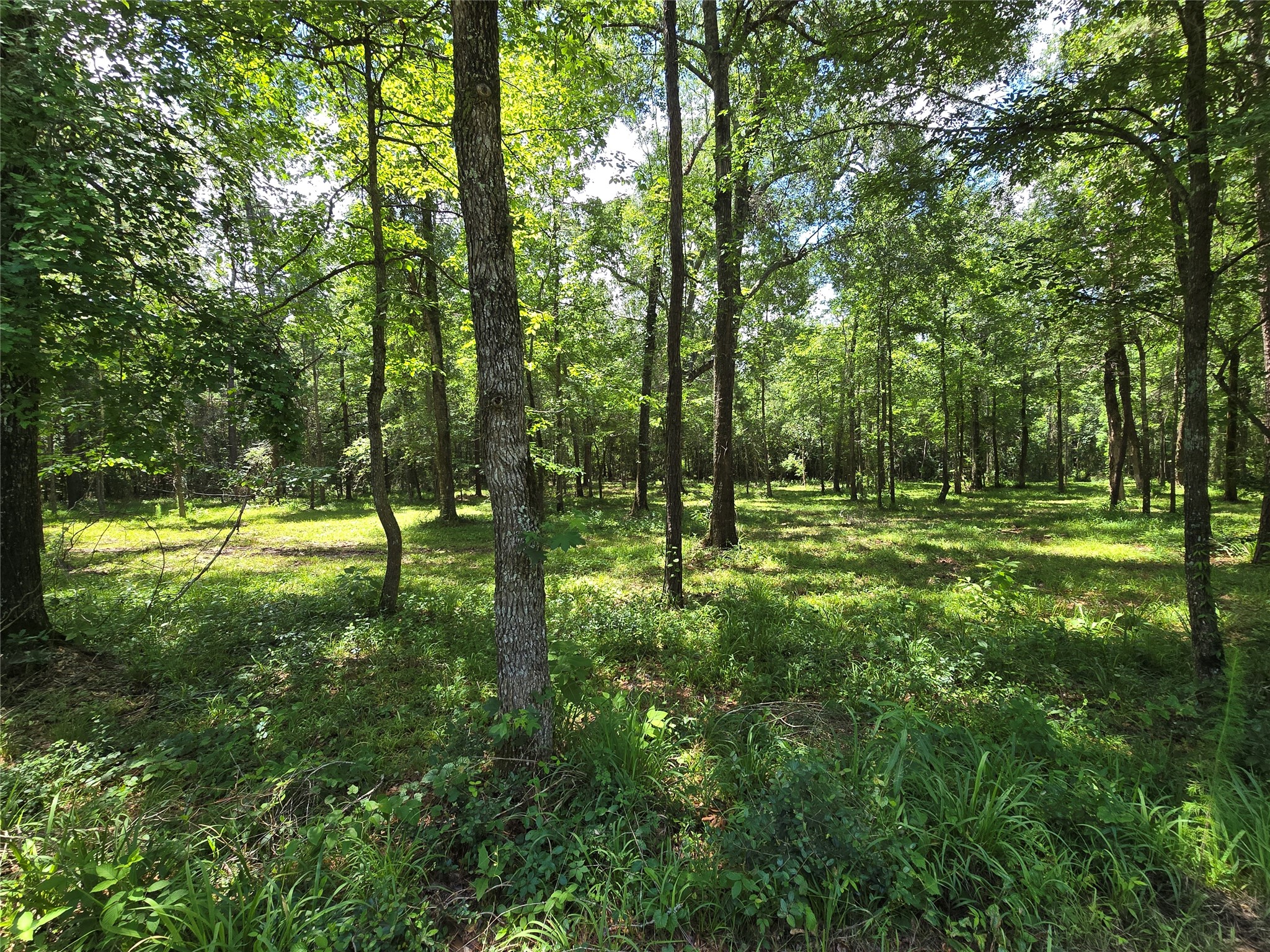00 Tbd Hwy 150 W Property Photo 5